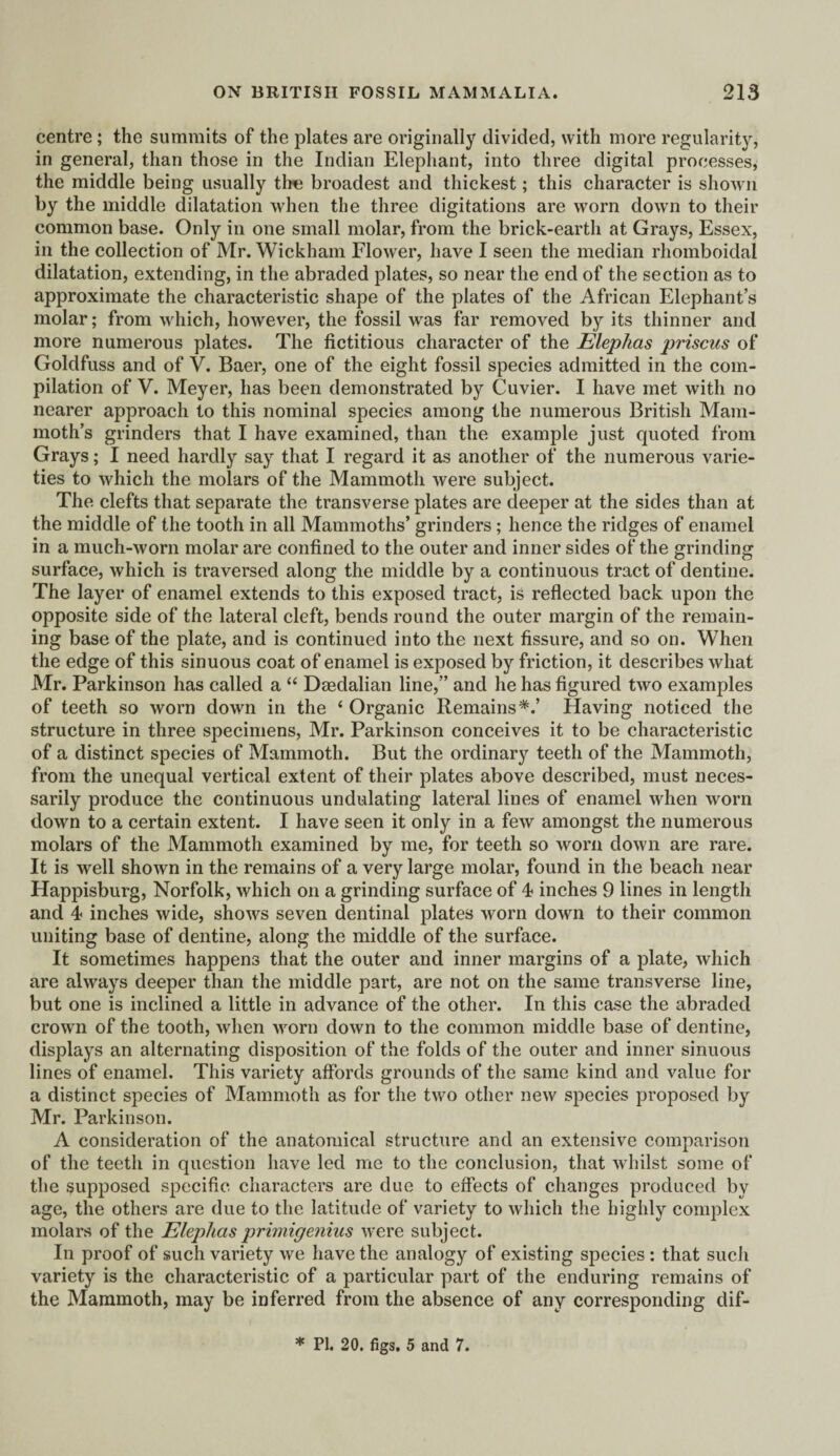 centre ; the summits of the plates are originally divided, with more regularity, in general, than those in the Indian Elephant, into three digital processes, the middle being usually the broadest and thickest; this character is shown by the middle dilatation when the three digitations are worn down to their common base. Only in one small molar, from the brick-earth at Grays, Essex, in the collection of Mr. Wickham Flower, have I seen the median rhomboidal dilatation, extending, in the abraded plates, so near the end of the section as to approximate the characteristic shape of the plates of the African Elephant’s molar; from which, however, the fossil was far removed by its thinner and more numerous plates. The fictitious character of the Elephas priscus of Goldfuss and of V. Baer, one of the eight fossil species admitted in the com¬ pilation of V. Meyer, has been demonstrated by Cuvier. I have met with no nearer approach to this nominal species among the numerous British Mam¬ moth’s grinders that I have examined, than the example just quoted from Grays; I need hardly say that I regard it as another of the numerous varie¬ ties to which the molars of the Mammoth were subject. The clefts that separate the transverse plates are deeper at the sides than at the middle of the tooth in all Mammoths’ grinders; hence the ridges of enamel in a much-worn molar are confined to the outer and inner sides of the grinding surface, which is traversed along the middle by a continuous tract of dentine. The layer of enamel extends to this exposed tract, is reflected back upon the opposite side of the lateral cleft, bends round the outer margin of the remain¬ ing base of the plate, and is continued into the next fissure, and so on. When the edge of this sinuous coat of enamel is exposed by friction, it describes what Mr. Parkinson has called a “ Dasdalian line,” and he has figured two examples of teeth so worn down in the 1 Organic Remains*.’ Having noticed the structure in three specimens, Mr. Parkinson conceives it to be characteristic of a distinct species of Mammoth. But the ordinary teeth of the Mammoth, from the unequal vertical extent of their plates above described, must neces¬ sarily produce the continuous undulating lateral lines of enamel when worn down to a certain extent. I have seen it only in a few amongst the numerous molars of the Mammoth examined by me, for teeth so worn down are rare. It is well shown in the remains of a very large molar, found in the beach near Happisburg, Norfolk, which on a grinding surface of 4 inches 9 lines in length and 4 inches wide, shows seven dentinal plates worn down to their common uniting base of dentine, along the middle of the surface. It sometimes happens that the outer and inner margins of a plate, which are always deeper than the middle part, are not on the same transverse line, but one is inclined a little in advance of the other. In this case the abraded crown of the tooth, when worn down to the common middle base of dentine, displays an alternating disposition of the folds of the outer and inner sinuous lines of enamel. This variety affords grounds of the same kind and value for a distinct species of Mammoth as for the two other new species proposed by Mr. Parkinson. A consideration of the anatomical structure and an extensive comparison of the teeth in question have led me to the conclusion, that whilst some of the supposed specific characters are due to effects of changes produced by age, the others are due to the latitude of variety to which the highly complex molars of the Eleplias primigenius were subject. In proof of such variety we have the analogy of existing species : that such variety is the characteristic of a particular part of the enduring remains of the Mammoth, may be inferred from the absence of any corresponding dif- * PI. 20. figs. 5 and 7.