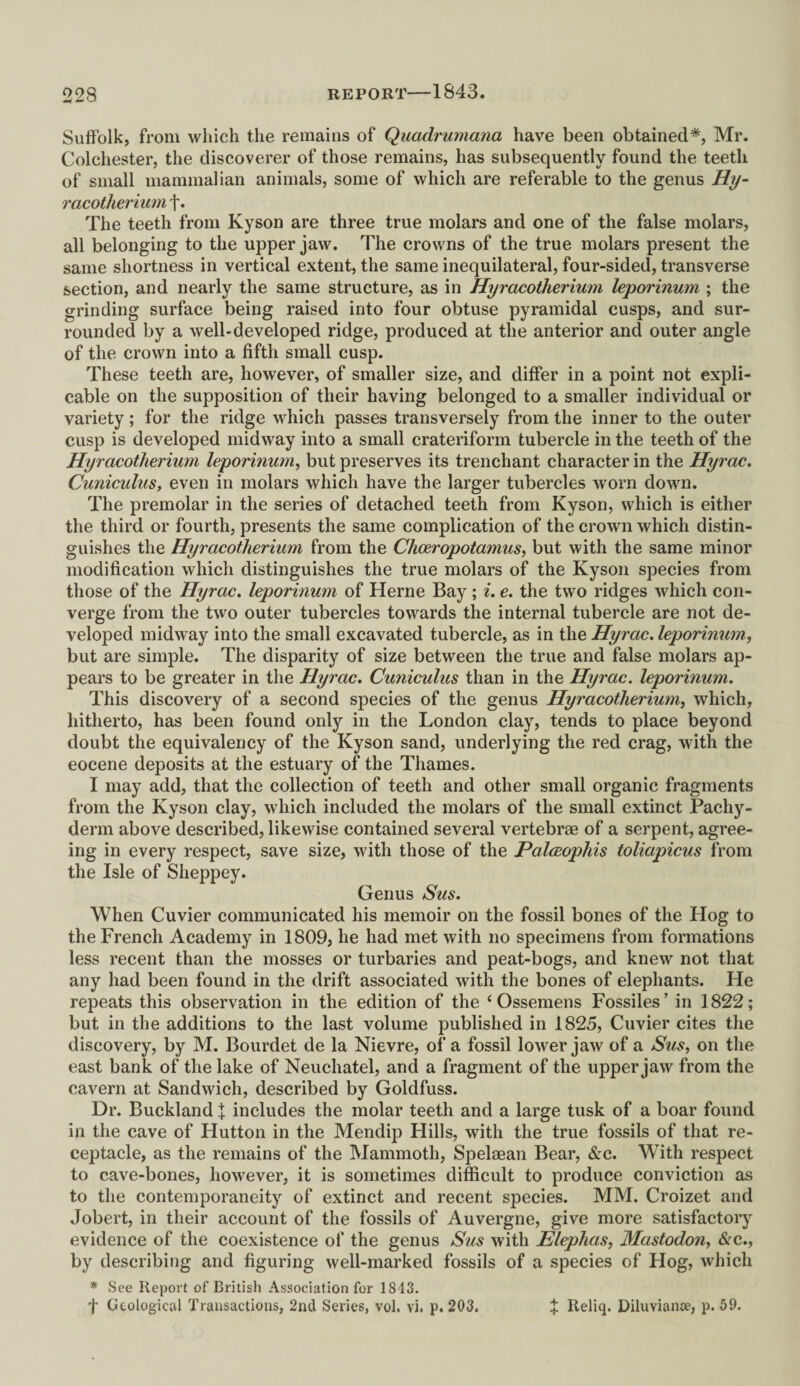 Suffolk, from which the remains of Quadrumana have been obtained*, Mr. Colchester, the discoverer of those remains, has subsequently found the teeth of small mammalian animals, some of which are referable to the genus Hy- racotherium f. The teeth from Kyson are three true molars and one of the false molars, all belonging to the upper jaw. The crowns of the true molars present the same shortness in vertical extent, the same inequilateral, four-sided, transverse section, and nearly the same structure, as in Hyracotherium leporinum ; the grinding surface being raised into four obtuse pyramidal cusps, and sur¬ rounded by a well-developed ridge, produced at the anterior and outer angle of the crown into a fifth small cusp. These teeth are, however, of smaller size, and differ in a point not expli¬ cable on the supposition of their having belonged to a smaller individual or variety; for the ridge which passes transversely from the inner to the outer cusp is developed midway into a small crateriform tubercle in the teeth of the Hyracotherium leporinum, but preserves its trenchant character in the Hyrac. Cuniculus, even in molars which have the larger tubercles worn down. The premolar in the series of detached teeth from Kyson, which is either the third or fourth, presents the same complication of the crown which distin¬ guishes the Hyracotherium from the Cheeropotamus, but with the same minor modification which distinguishes the true molars of the Kyson species from those of the Hyrac. leporinum of Herne Bay; i. e. the two ridges which con¬ verge from the two outer tubercles towards the internal tubercle are not de¬ veloped midway into the small excavated tubercle, as in the Hyrac. leporinum, but are simple. The disparity of size between the true and false molars ap¬ pears to be greater in the Hyrac. Cuniculus than in the Hyrac. leporinum. This discovery of a second species of the genus Hyracotherium, which, hitherto, has been found only in the London clay, tends to place beyond doubt the equivalency of the Kyson sand, underlying the red crag, with the eocene deposits at the estuary of the Thames. I may add, that the collection of teeth and other small organic fragments from the Kyson clay, which included the molars of the small extinct Pachy¬ derm above described, likewise contained several vertebrae of a serpent, agree¬ ing in every respect, save size, with those of the Palceophis toliapicus from the Isle of Sheppey. Genus Sus. When Cuvier communicated his memoir on the fossil bones of the Hog to the French Academy in 1809, lie had met with no specimens from formations less recent than the mosses or turbaries and peat-bogs, and knew not that any had been found in the drift associated with the bones of elephants. He repeats this observation in the edition of the ‘ Ossemens Fossiles’ in 1822; but in the additions to the last volume published in 1825, Cuvier cites the discovery, by M. Bourdet de la Nievre, of a fossil lower jaw of a Sus, on the east bank of the lake of Neuchatel, and a fragment of the upper jaw from the cavern at Sandwich, described by Goldfuss. Dr. Buckland X includes the molar teeth and a large tusk of a boar found in the cave of Hutton in the Mendip Hills, with the true fossils of that re¬ ceptacle, as the remains of the Mammoth, Spelaean Bear, &c. With respect to cave-bones, however, it is sometimes difficult to produce conviction as to the contemporaneity of extinct and recent species. MM. Croizet and Jobert, in their account of the fossils of Auvergne, give more satisfactory evidence of the coexistence of the genus Sus with Elephas, Mastodon, &c., by describing and figuring well-marked fossils of a species of Hog, which * See Report of British Association for 1843. t Geological Transactions, 2nd Series, vol. vi. p. 203. % Reliq. Diluvianoe, p. 59.