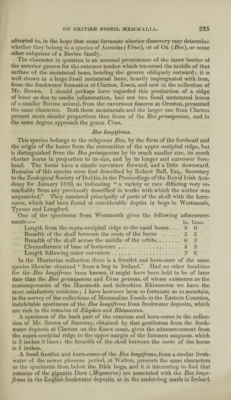 adverted to, in the hope that some fortunate ulterior discovery may determine whether they belong to a species of Aurochs ( Urus), or of Ox (Bos'), or some other subgenus of a Bovine family. The character in question is an unusual prominence of the inner border of the anterior groove for the extensor tendon which traversed the middle of that surface of the metatarsal bone, bending the groove obliquely outward; it is well shown in a large fossil metatarsal bone, heavily impregnated with iron, from the freshwater formation at Clacton, Essex, and now in the collection of Mr. Brown. I should perhaps have regarded this production of a ridge of bone as due to ossific inflammation, had not two fossil metatarsal bones of a smaller Bovine animal, from the cavernous fissures at Oreston, presented the same character. Both these metatarsals and the larger one from Clacton present more slender proportions than those of the Bos primigenius, and in the same degree approach the genus Urus. Bos longifrons. This species belongs to the subgenus Bos, by the form of the forehead and the origin of the horns from the extremities of the upper occipital ridge, but is distinguished from the Bos primigenius by its much smaller size, its much shorter horns in proportion to its size, and by its longer and narrower fore¬ head. The horns have a simple curvature forward, and a little downward. Remains of this species were first described by Robert Ball, Esq., Secretary to the Zoological Society of Dublin, in the Proceedings of the Royal Irish Aca¬ demy for January 1839, as indicating “ a variety or race differing very re¬ markably from any previously described in works with which the author was acquainted.” They consisted principally of parts of the skull with the horn- cores, which had been found at considerable depths in bogs in Westmeath, Tyrone and Longford. One of the specimens from Westmeath gives the following admeasure¬ ments:— In. Lines. Length from the supra-occipital ridge to the nasal bones.... 8 0 Breadth of the skull between the roots of the horns . 5 5 Breadth of the skull across the middle of the orbits. 6 5 Circumference of base of horn-core .. 4 3 Length following outer curvature... 3 6 In the Hunterian collection there is a frontlet and horn-core of the same species likewise obtained “ from a bog in Ireland.” Had no other localities for the Bos longifrons been known, it might have been held to be of later date than the Bos primigenius and Urus priscus, of whose existence as the contemporaries of the Mammoth and tichorhine Rhinoceros we have the most satisfactory evidence ; 1 have however been so fortunate as to ascertain, in the survey of the collections of Mammalian Fossils in the Eastern Counties, indubitable specimens of the Bos longifrons from freshwater deposits, which are rich in the remains of Elephas and Rhinoceros. A specimen of the back part of the cranium and horn-cores in the collec¬ tion of Mr. Brown of Stanway, obtained by that gentleman from the fresh¬ water deposits at Clacton on the Essex coast, gives the admeasurement from the supra-occipital ridge to the upper margin of the foramen magnum, which is 3 inches 9 lines ; the breadth of the skull between the roots of the horns is 5 inches. A fossil frontlet and horn-cores of the Bos longifrons, from a similar fresh¬ water of the newer pliocene period, at Walton, presents the same characters as the specimens from below the Irish bogs, and it is interesting to find that remains of the gigantic Deer (Megaceros) are associated with the Bos longi¬ frons in the English freshwater deposits, as in the under-bog marls in Ireland.