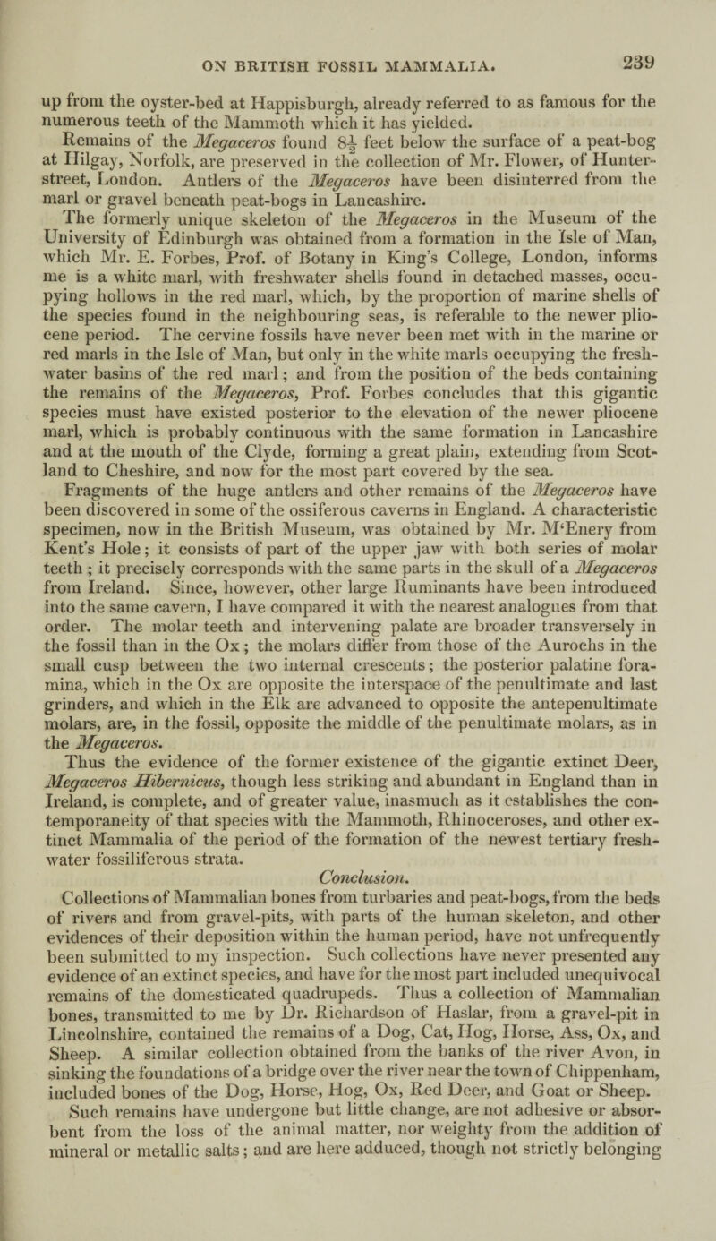 up from the oyster-bed at Happisburgh, already referred to as famous for the numerous teeth of the Mammoth which it has yielded. Remains of the Megaceros found 8-^ feet below the surface of a peat-bog at Hilgay, Norfolk, are preserved in the collection of Mr. Flower, of Hunter- street, London. Antlers of the Megaceros have been disinterred from the marl or gravel beneath peat-bogs in Lancashire. The formerly unique skeleton of the Megaceros in the Museum of the University of Edinburgh was obtained from a formation in the Isle of Man, which Mr. E. Forbes, Prof, of Botany in King’s College, London, informs me is a white marl, Avith freshwater shells found in detached masses, occu¬ pying hollows in the red marl, which, by the proportion of marine shells of the species found in the neighbouring seas, is referable to the newer plio¬ cene period. The cervine fossils have never been met with in the marine or red marls in the Isle of Man, but only in the white marls occupying the fresh¬ water basins of the red marl; and from the position of the beds containing the remains of the Megaceros, Prof. Forbes concludes that this gigantic species must have existed posterior to the elevation of the newer pliocene marl, which is probably continuous with the same formation in Lancashire and at the mouth of the Clyde, forming a great plain, extending from Scot¬ land to Cheshire, and now for the most part covered by the sea. Fragments of the huge antlers and other remains of the Megaceros have been discovered in some of the ossiferous caverns in England. A characteristic specimen, now in the British Museum, was obtained by Mr. M‘Enery from Kent’s Hole; it consists of part of the upper jaw with both series of molar teeth ; it precisely corresponds with the same parts in the skull of a Megaceros from Ireland. Since, however, other large Ruminants have been introduced into the same cavern, I have compared it with the nearest analogues from that order. The molar teeth and intervening palate are broader transversely in the fossil than in the Ox; the molars differ from those of the Aurochs in the small cusp between the two internal crescents; the posterior palatine fora¬ mina, Avhich in the Ox are opposite the interspace of the penultimate and last grinders, and which in the Elk are advanced to opposite the antepenultimate molars, are, in the fossil, opposite the middle of the penultimate molars, as in the Megaceros. Thus the evidence of the former existence of the gigantic extinct Deer, Megaceros Hibernicus, though less striking and abundant in England than in Ireland, is complete, and of greater value, inasmuch as it establishes the con¬ temporaneity of that species with the Mammoth, Rhinoceroses, and other ex¬ tinct Mammalia of the period of the formation of the newest tertiary fresh- Avater fossiliferous strata. Conclusion. Collections of Mammalian bones from turbaries and peat-bogs, from the beds of rivers and from gravel-pits, with parts of the human skeleton, and other evidences of their deposition within the human period, have not unfrequently been submitted to my inspection. Such collections have never presented any evidence of an extinct species, and have for the most part included unequivocal remains of the domesticated quadrupeds. Thus a collection of Mammalian bones, transmitted to me by Dr. Richardson of Haslar, from a gravel-pit in Lincolnshire, contained the remains of a Dog, Cat, Hog, Horse, Ass, Ox, and Sheep. A similar collection obtained from the banks of the river Avon, in sinking the foundations of a bridge over the river near the toAvn of Chippenham, included bones of the Dog, Horse, Hog, Ox, Red Deer, and Goat or Sheep. Such remains have undergone but little change, are not adhesive or absor¬ bent from the loss of the animal matter, nor weighty from the addition of mineral or metallic salts; and are here adduced, though not strictly belonging