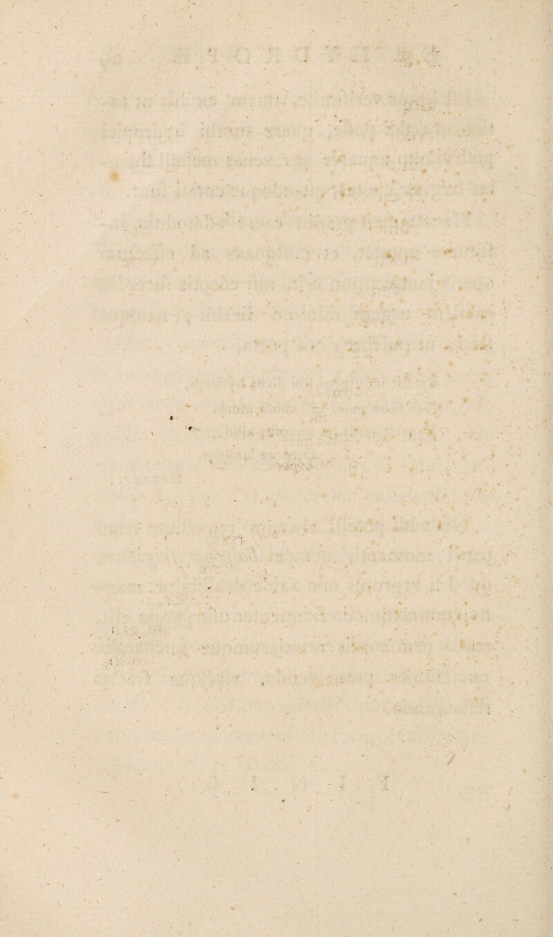 ■> i * : i \ * * ■A %• * < > r \ \