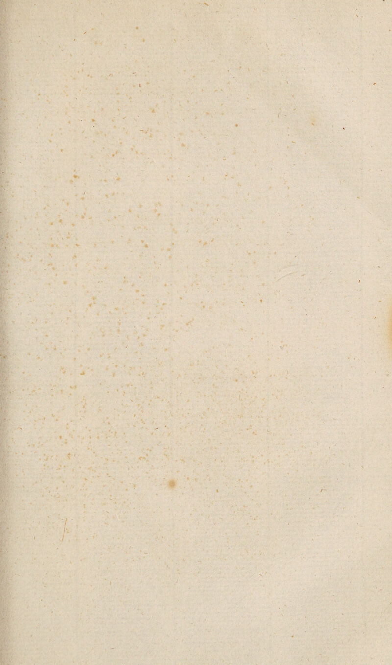 \ . • A ' i '• ■ m K * i ‘ y t : - •- / t ■