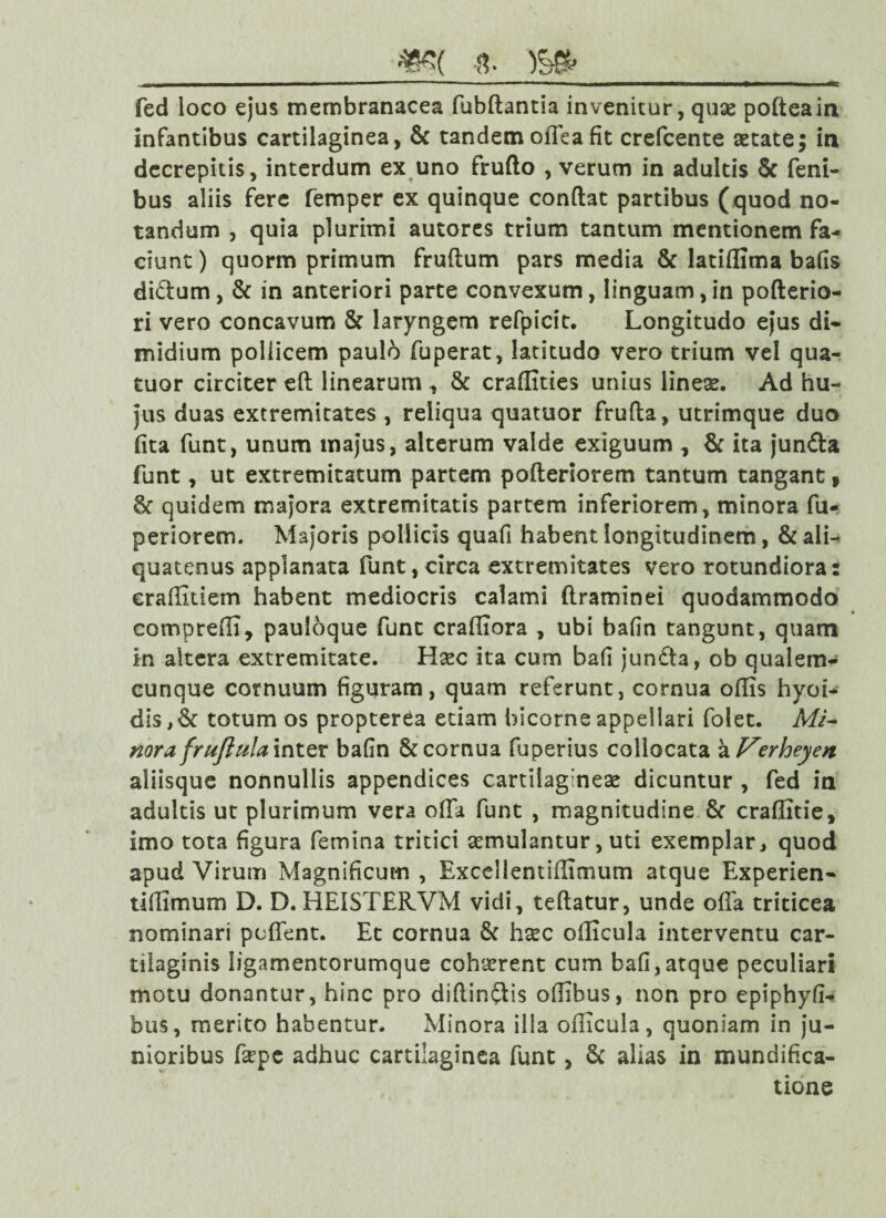 fed loco ejus membranacea fubftantia invenitur, quas pofteain infantibus cartilaginea, & tandemodeafit crefcente aetate; in decrepitis, interdum ex uno frufto , verum in adultis §c feni- bus aliis fere femper ex quinque condat partibus (quod no¬ tandum , quia plurimi autores trium tantum mentionem fa¬ ciunt) quorm primum frudum pars media & latidima bafis didum, & in anteriori parte convexum, linguam, in poderio- ri vero concavum & laryngem refpicit. Longitudo ejus di¬ midium poliicem paulo fuperat, latitudo vero trium vel qua- tuor circiter ed linearum , & cradities unius lineas. Ad hu¬ jus duas extremitates , reliqua quatuor fruda, utrimque duo (ita funt, unum majus, alterum valde exiguum , & ita junda funt, ut extremitatum partem poderiorem tantum tangant 9 & quidem majora extremitatis partem inferiorem, minora fu- periorem. Majoris pollicis quafi habent longitudinem, & ali¬ quatenus applanata funt,circa extremitates vero rotundiora: eraditiem habent mediocris calami ftraminei quodammodo compredi, pauloque funt cradiora , ubi bafin tangunt, quam in altera extremitate. Hasc ita cum bafi junda, ob qualem¬ cunque cornuum figuram, quam referunt, cornua odis hyoi- dis, & totum os propterva etiam bicorne appellari folet. Mi¬ nora frujlula inter bafin & cornua fuperius collocata a Verheyen aliisque nonnullis appendices cartilagineas dicuntur , fed in adultis ut plurimum vera oda funt , magnitudine & craditie, imo tota figura femina tritici aemulantur, uti exemplar , quod apud Virum Magnificum , Excel 1 entsilmuim atque Experien- tidimum D. D. HEISTEKVM vidi, tedatur, unde oda triticea nominari podent. Et cornua & hsec odicula interventu car¬ tilaginis ligamentorumque cohaerent cum bafi,atque peculiari motu donantur, hinc pro didindis odibus, non pro epiphyfi- bus, merito habentur. Minora illa odicula, quoniam in ju¬ nioribus faepe adhuc cartilaginea funt, & alias in mundifica- tione