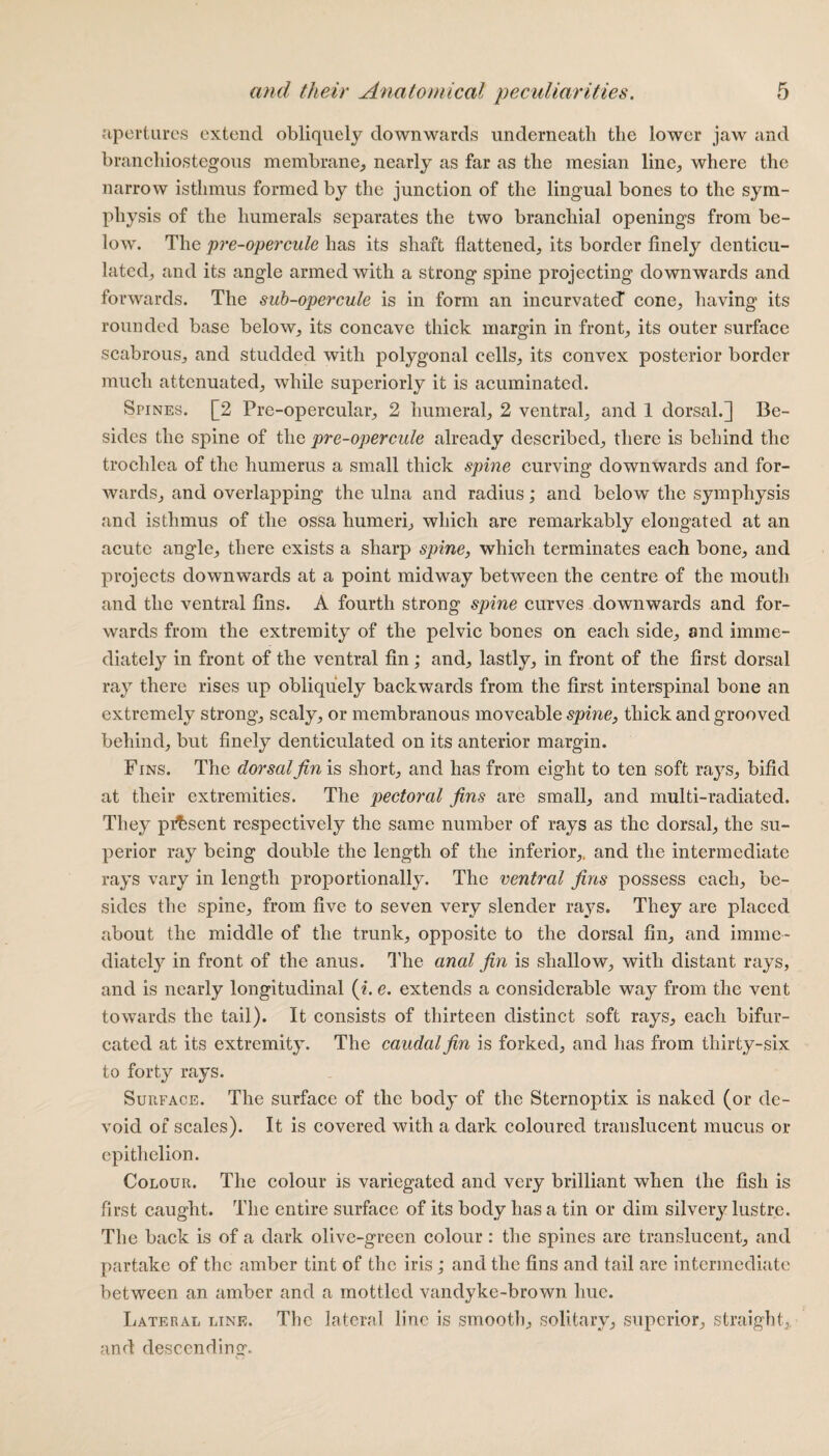 apertures extend obliquely downwards underneath the lower jaw and branchiostegous membrane, nearly as far as the mesian line, where the narrow isthmus formed by the junction of the lingual bones to the sym¬ physis of the humerals separates the two branchial openings from be¬ low. The pre-opercule has its shaft flattened, its border finely denticu¬ lated, and its angle armed with a strong spine projecting downwards and forwards. The sub-opercule is in form an incurvatecT cone, having its rounded base below, its concave thick margin in front, its outer surface scabrous, and studded with polygonal cells, its convex posterior border much attenuated, while superiorly it is acuminated. Spines. [2 Pre-opercular, 2 humeral, 2 ventral, and 1 dorsal.] Be¬ sides the spine of the pre-opercule already described, there is behind the trochlea of the humerus a small thick spine curving downwards and for¬ wards, and overlapping the ulna and radius; and below the symphysis and isthmus of the ossa humeri, which are remarkably elongated at an acute angle, there exists a sharp spine, which terminates each bone, and projects downwards at a point midway between the centre of the mouth and the ventral fins. A fourth strong spine curves downwards and for¬ wards from the extremity of the pelvic bones on each side, and imme¬ diately in front of the ventral fin; and, lastly, in front of the first dorsal ray there rises up obliquely backwards from the first interspinal bone an extremely strong, scaly, or membranous moveable spine, thick and grooved behind, but finely denticulated on its anterior margin. Fins. The dorsal fin is short, and has from eight to ten soft rays, bifid at their extremities. The pectoral fins are small, and multi-radiated. They present respectively the same number of rays as the dorsal, the su¬ perior ray being double the length of the inferior,, and the intermediate rays vary in length proportionally. The ventral fins possess each, be¬ sides the spine, from five to seven very slender rays. They are placed about the middle of the trunk, opposite to the dorsal fin, and imme¬ diately in front of the anus. The anal fin is shallow, with distant rays, and is nearly longitudinal (i. e. extends a considerable way from the vent towards the tail). It consists of thirteen distinct soft rays, each bifur¬ cated at its extremity. The caudal fin is forked, and has from thirty-six to forty rays. Surface. The surface of the body of the Sternoptix is naked (or de¬ void of scales). It is covered with a dark coloured translucent mucus or epithelion. Colour. The colour is variegated and very brilliant when the fish is first caught. The entire surface of its body has a tin or dim silvery lustre. The back is of a dark olive-green colour : the spines are translucent, and partake of the amber tint of the iris ; and the fins and tail are intermediate between an amber and a mottled vandyke-brown hue. Lateral line. The lateral line is smooth, solitary, superior, straight, and descending.