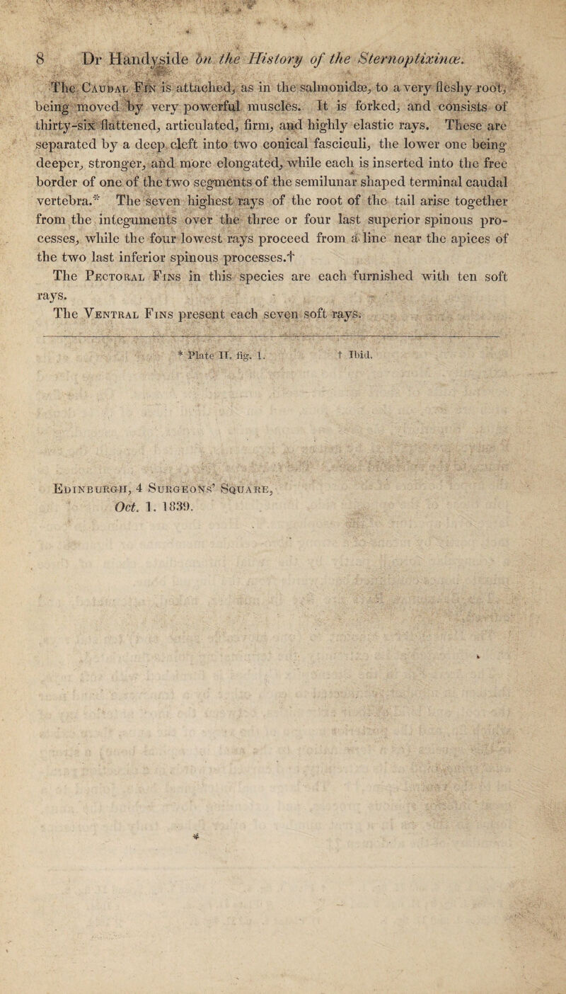 The Caudal Fin is attached, as in the salmonidse, to a very fleshy root, being moved by very powerful muscles. It is forked, and consists of thirty-six flattened, articulated, firm, and highly elastic rays. These are separated by a deep cleft into two conical fasciculi, the lower one being deeper, stronger, and more elongated, while each is inserted into the free border of one of the two segments of the semilunar shaped terminal caudal vertebra.* The seven highest rays of the root of the tail arise together from the integuments over the three or four last superior spinous pro¬ cesses, while the four lowest rays proceed from at line near the apices of the two last inferior spinous processes.t The Pectoral Fins in this species are each furnished with ten soft rays. The Ventral Fins present each seven soft rays. * -Plate IT. fig. 1. t Ibid. Edinburgh, 4 Surgeons’ Square, Oct. 1. 1839.