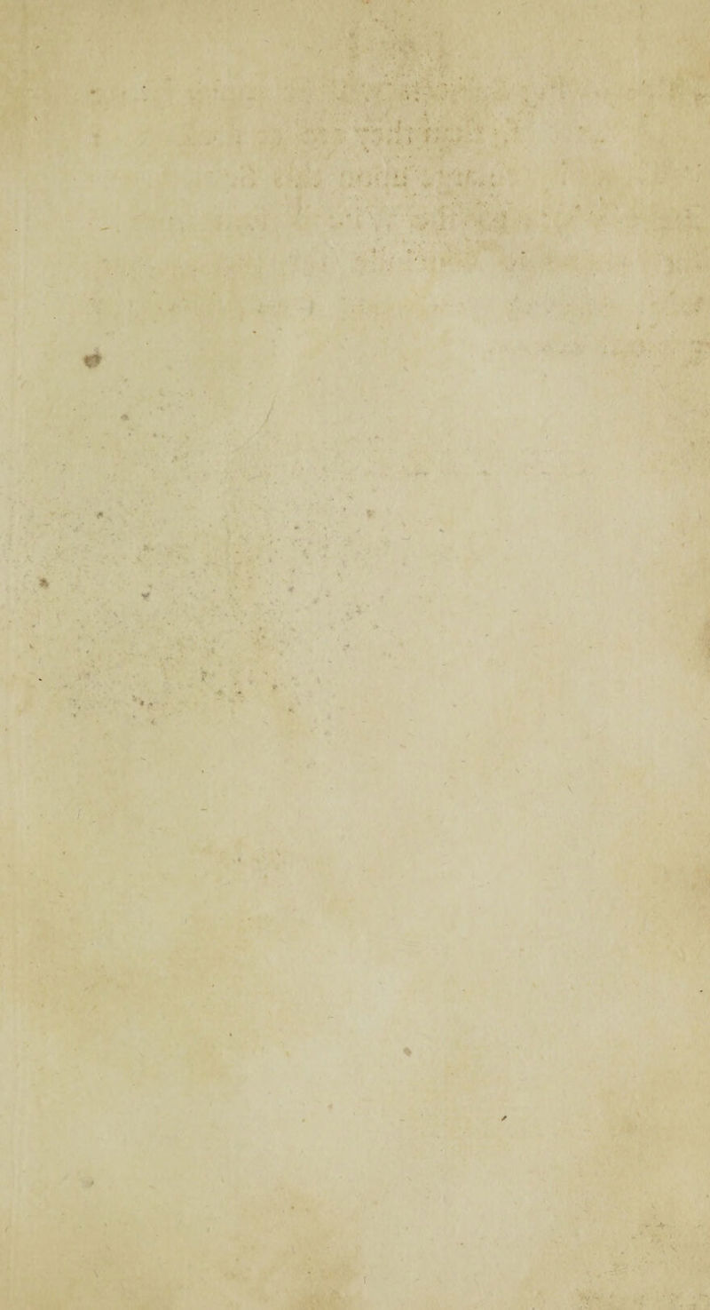 •.. * J ' ■ f • • *; f • > 1 ' ’ A> • • ,. „ • < ■ J . ■ * • . .14 •• r . , i * • , *- ■ < - . . » , i r *v