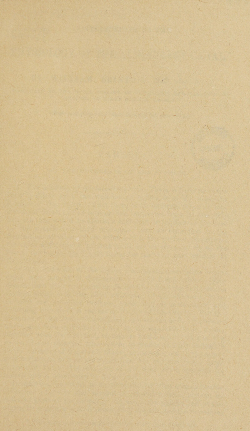 . w '. /