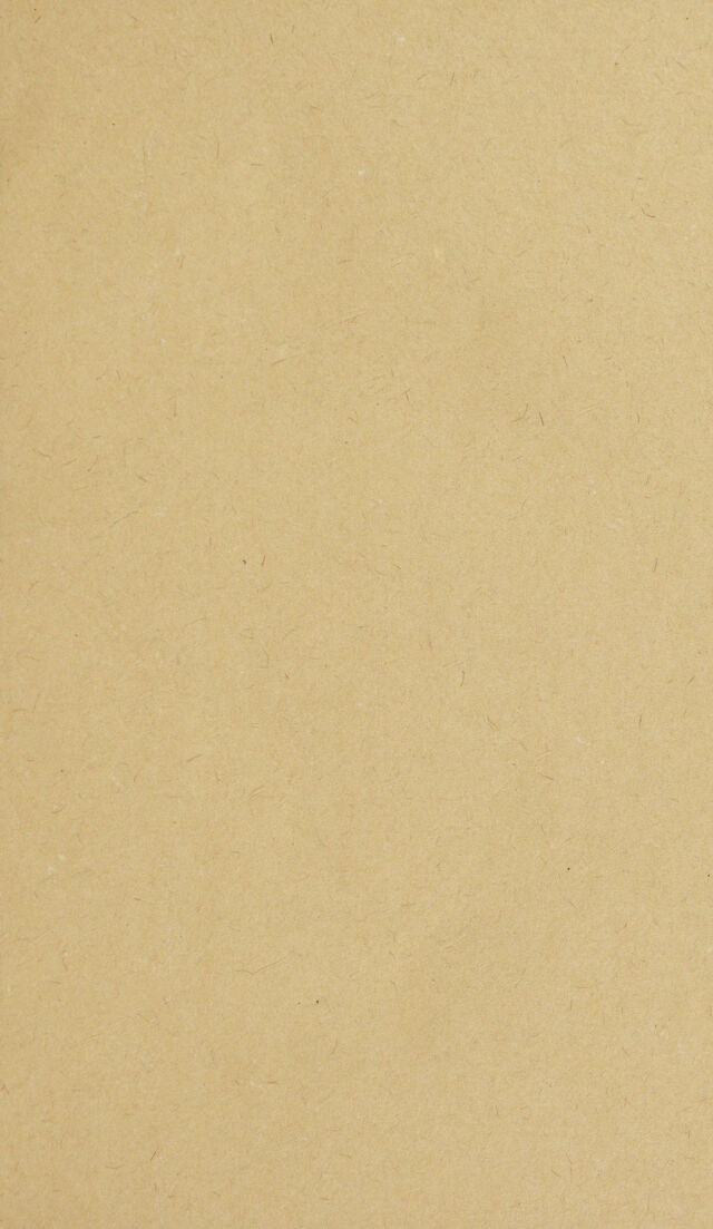 digitised image 3