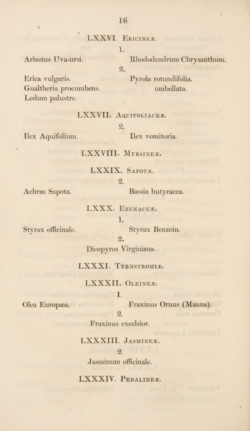 l(j \ LXXVI. Ericineje. Arbutus Uva-ursi. Erica vulgaris. Gualtheria procumbens. Ledum palustre. 1. Rhododendrum Chry santhum. Pyrola rotundifolia. %> umbellata. I .XXVII. AaUIFOLIACE^E. Q /> « Ilex Aquifolium. Ilex vomitoria. LXXVIII. Myrsinejs. LXXIX. Sapot^e. Achras Sapota. Bassia butyracea. LXXX. Ebenace.e. 1. Styrax officinale. Styrax Benzoin. o Diospyros Virginiana. LXXXI. Ternstromi^e. LXXXII. Oleines. 1. Olea Europaea. Fraxinus Ornus (Manna). Fraxinus excelsior. LXXXIII. Jasmines. 2. Jasminum officinale. LXXXIV. Pedaline*.