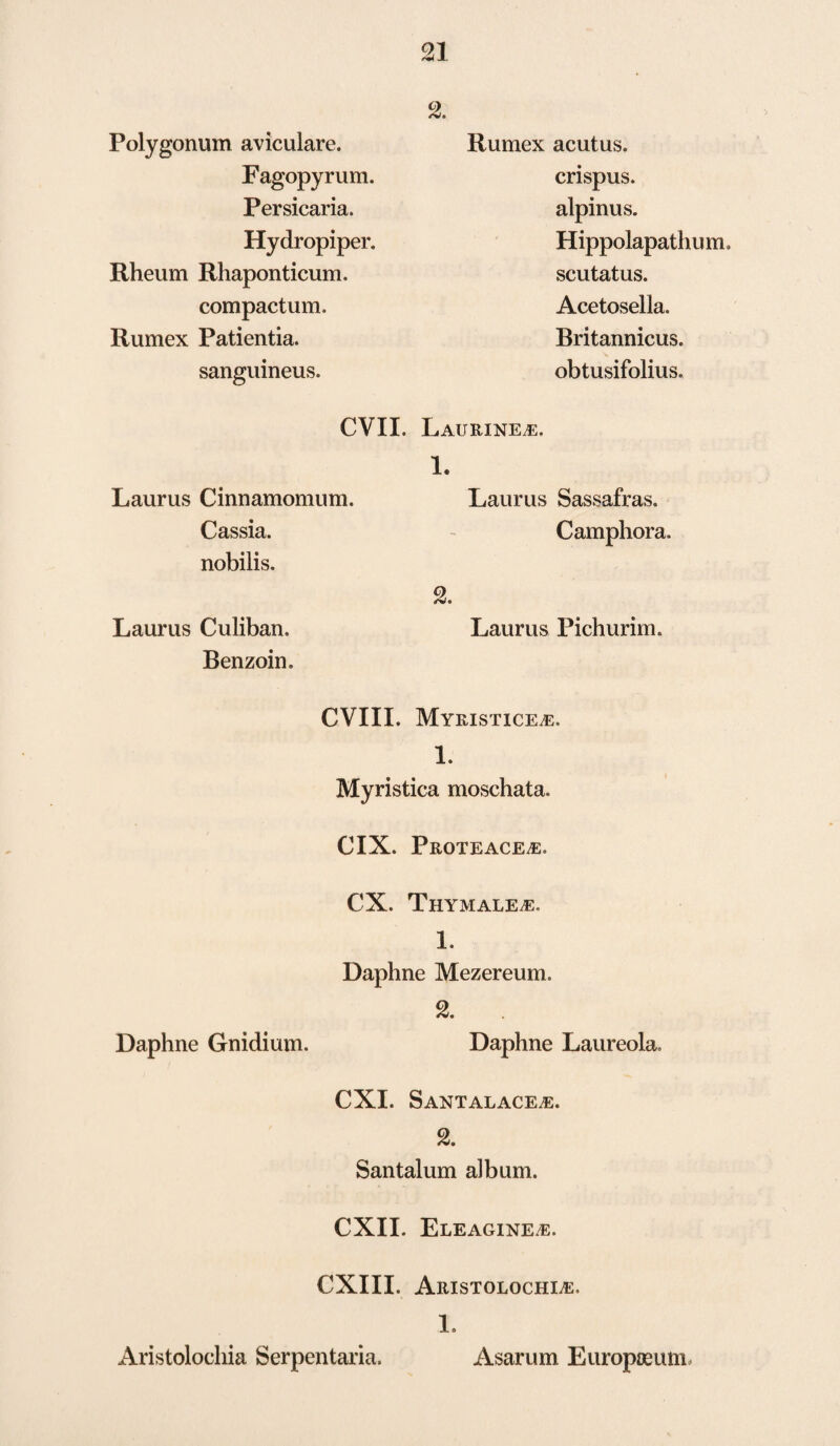 Polygonum aviculare. Fagopyrum. Persicaria. Hydropiper. Rheum Rhaponticum. compactum. Rum ex Patientia. sanguineus. 2. Rumex acutus. crispus. alpinus. Hippolapathum. scutatus. Acetosella. Britannicus. obtusifolius. CVII. Laurus Cinnamomum. Cassia, nobilis. Laurus Culiban. Benzoin. Laurine^e. 1. Laurus Sassafras. Camphora. 2. Laurus Pichurim. CVIII. Myristice^e. 1. Myristica moschata. CIX. Proteace.£. CX. Thymale/E. 1. Daphne Mezereum. 2. Daphne Gnidium. Daphne Laureola. CXI. Santalace^e. 2. Santalum album. CXII. Eleagine^e. CXIII. Aristolochle. 1. Aristolochia Serpentaria. Asarum Europoeum
