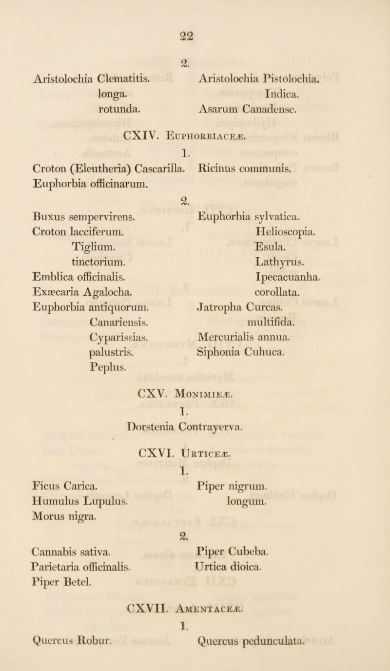 Aristolochia Clematitis. longa. rotunda. Aristolochia Pistolochia. Indica. Asarum Canadense. CXIV. EuPHORBIACEiE. 1. Croton (Eleutheria) Cascarilla. Ricinus communis. Euphorbia officinarum. Buxus sempervirens. Croton lacciferum. Tiglium. tinctorium. Emblica officinalis. Exascaria Agalocha. Euphorbia antiquorum. Canariensis. Cyparissias. palustris. Peplus. 2. Euphorbia sylvatica. Helioscopia. Esula. Lathyrus. Ipecacuanha, corollata. Jatropha C ureas. multifida. Mercurialis annua. Siphonia Cuhuca. CXV. Monimie.e. 1. Dorstenia Contrayerva. CXVI. Urticea:. Ficus Carica. Humulus Lupulus. Morus nigra. Cannabis sativa. Parietaria officinalis. Piper Betel. 1. Piper nigrum, longum. 2. Piper Cubeba. Urtica dioica. CXVII. Amentace.e. 1. Quercus Robur. Quercus pedunculata.