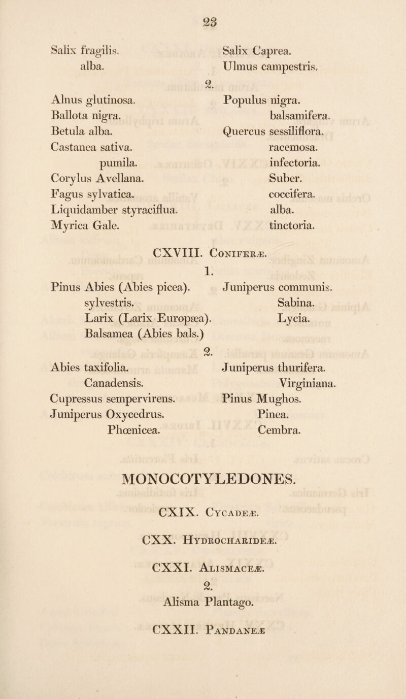 Salix fragilis. Salix Caprea. alba. o Ulmus campestris. a. Alnus glutinosa. Populus nigra. Ballota nigra. balsamifera. Betula alba. Quercus sessiliflora. Castanea sativa. racemosa. pumila. infectoria. Corylus Avellana. Suber. Fagus sylvatica. coccifera. Liquidamber styraciflua. alba. Myrica Gale. tinctoria. CXVIII. Conifers. i. Pinus Abies (Abies picea). Juniperus communis. sylvestris. Sabina. Larix (Larix Europaea). Lycia. Balsamea (Abies bals.) 2 Abies taxifolia. Juniperus thurifera. Canadensis. Virginiana Cupressus sempervirens. Pinus Mughos. Juniperus Oxycedrus. Pinea. Phoenicea. Cembra. MONOCOTYLEDONES. CXIX. CYCADEiE. CXX. Hydrocharide^e. CXXI. Alismace^e. Alisma Plantago.