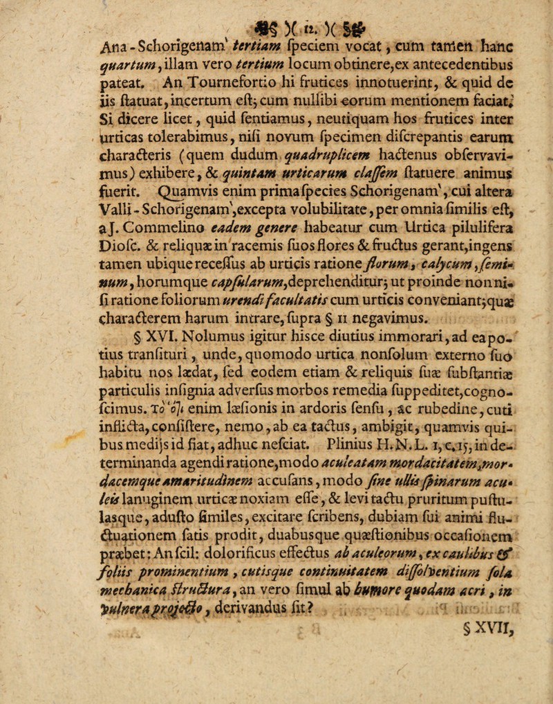 ' «S X «:X Ana - Schorigenam tertiam fpeciem vocat, cum tamen hanc quartum, illam vero tertium locum obtinere,ex antecedentibus pateat. An Tournefortio hi frutices innotuerint, & quid dc iis ftatuat,incertum eftj cum nullibi eorum mentionem faciat*' Si dicere licet, quid fentiamus, neutiquam hos frutices inter urticas tolerabimus, nili novum fpecimen difcrepantis earum charaCteris (quem dudum quadruplicem hadenus obfervavi- jnus) exhibere, & quintam urticarum clajjem ftatuere animus fuerit. Quamvis enim primafpecies Schorigenam', cui altera Valli - Schorigenam',excepta volubilitate, per omnia fimilis eft, a J. Commelino eadem genere habeatur cum Urtica pilulifera Diofc. & reliquae in racemis fuos flores & fru&us gerant,ingens tamen ubique recefliis ab urticis ratione florum r calycum ^femi¬ num , horumque capfHlarum^ deprehenditur $ ut proinde nonni, fi ratione foliorum urendi facultatis cum urticis conveniant jqu« charadterem harum intrare, fupra § ii negavimus. § XVI. Nolumus igitur hisce diutius immorari,ad eapo- tius tranflturi, unde, quomodo urtica nonfolum externo fuo habitu nos laedat, fed eodem etiam & reliquis fuse fiibftantise particulis infignia adverfus morbos remedia fuppeditet,cogno- fcimus. Xo ‘o]t enim laefionis in ardoris fenfii, ac rubedine,cuti infUda,confifl:ere, nemo,ab ea tactus, ambigit, quamvis aui- busmedijsid fiat,adhuc nefciat. Plinius H.N.L. i,-c*iy, in de¬ terminanda agendi ratione,modo aculeatam mordacitatem ^nor- dacemque amaritudinem ac culans, modo fine ullis (pinarum acu• leis lanuginem urticae noxiam efle, & levitadu pruritum puftu- lasque,adulto fimiles,excitare feribens, dubiam fui animi flu¬ ctuationem fatis prodit, duabusque quaeflionibus occafioncm praebet: Anfcil; dolorificus effedus ab aculeorum, ex caulibus & foliis prominentium , cutisque continuitatem dijfofa entium fola mechanica firuSura, an vero fimul ab humore quodam acri, in Vulnera profero, derivandus fit ? § XVII,