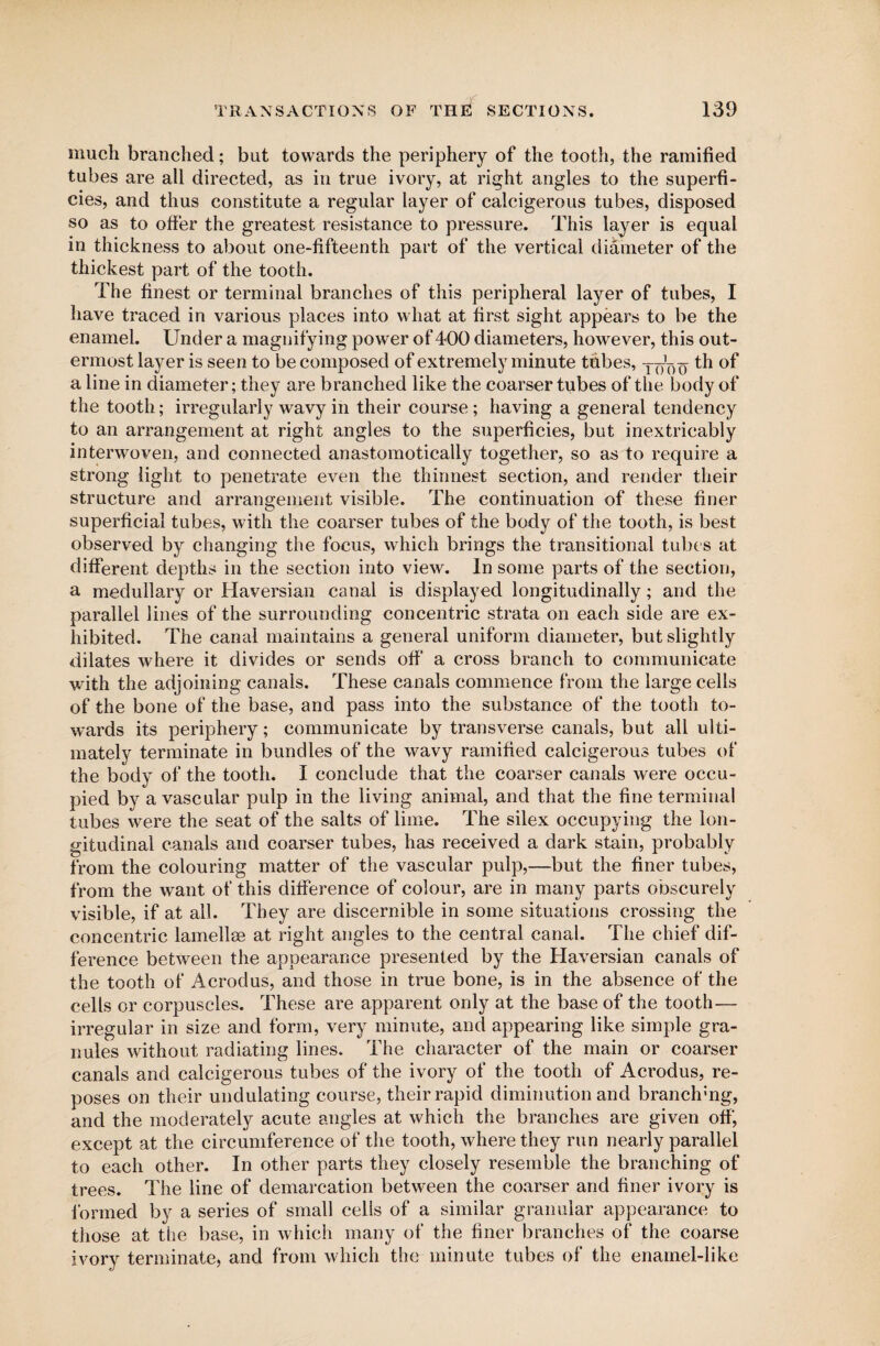 much branched; but towards the periphery of the tooth, the ramified tubes are all directed, as in true ivory, at right angles to the superfi¬ cies, and thus constitute a regular layer of calcigerous tubes, disposed so as to offer the greatest resistance to pressure. This layer is equal in thickness to about one-fifteenth part of the vertical diameter of the thickest part of the tooth. The finest or terminal branches of this peripheral layer of tubes, I have traced in various places into what at first sight appears to be the enamel. Under a magnifying power of400 diameters, however, this out¬ ermost layer is seen to be composed of extremely minute tubes, _ th of a line in diameter; they are branched like the coarser tubes of the body of the tooth; irregularly wavy in their course ; having a general tendency to an arrangement at right angles to the superficies, but inextricably interwoven, and connected anastomotically together, so as to require a strong light to penetrate even the thinnest section, and render their structure and arrangement visible. The continuation of these finer superficial tubes, with the coarser tubes of the body of the tooth, is best observed by changing the focus, which brings the transitional tubes at different depths in the section into view. In some parts of the section, a medullary or Haversian canal is displayed longitudinally; and the parallel lines of the surrounding concentric strata on each side are ex¬ hibited. The canal maintains a general uniform diameter, but slightly dilates where it divides or sends off a cross branch to communicate with the adjoining canals. These canals commence from the large cells of the bone of the base, and pass into the substance of the tooth to¬ wards its periphery; communicate by transverse canals, but all ulti¬ mately terminate in bundles of the wavy ramified calcigerous tubes of the body of the tooth. I conclude that the coarser canals were occu¬ pied by a vascular pulp in the living animal, and that the fine terminal tubes were the seat of the salts of lime. The silex occupying the lon¬ gitudinal canals and coarser tubes, has received a dark stain, probably from the colouring matter of the vascular pulp,—but the finer tubes, from the want of this difference of colour, are in many parts obscurely visible, if at all. They are discernible in some situations crossing the concentric lamellae at right angles to the central canal. The chief dif¬ ference between the appearance presented by the Haversian canals of the tooth of Acrodus, and those in true bone, is in the absence of the cells or corpuscles. These are apparent only at the base of the tooth— irregular in size and form, very minute, and appearing like simple gra¬ nules without radiating lines. The character of the main or coarser canals and calcigerous tubes of the ivory of the tooth of Acrodus, re¬ poses on their undulating course, their rapid diminution and branding, and the moderately acute angles at which the branches are given off, except at the circumference of the tooth, where they run nearly parallel to each other. In other parts they closely resemble the branching of trees. The line of demarcation between the coarser and finer ivory is formed by a series of small cells of a similar granular appearance to those at the base, in which many of the finer branches of the coarse ivory terminate, and from which the minute tubes of the enamel-like