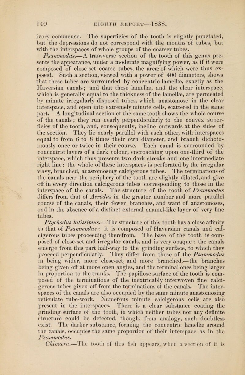 ivory commence. The superficies of the tooth is slightly punctated, but the depressions do not correspond with the mouths of tubes, but with the interspaces of whole groups of the coarser tubes. Psammodus.—A transverse section of the tooth of this genus pre¬ sents the appearance, under a moderate magnifying power, as if it were composed of close set coarse tubes, the areas of which were thus ex¬ posed. Such a section, viewed with a power of 400 diameters, shows that these tubes are surrounded by concentric lamellae, exactly as the Haversian canals; and that these lamellae, and the clear interspace, which is generally equal to the thickness of the lamellae, are permeated by minute irregularly disposed tubes, which anastomose in the clear interspace, and open into extremely minute cells, scattered in the same part. A longitudinal section of the same tooth shows the whole course of the canals ; they run nearly perpendicularly to the convex super¬ ficies of the tooth, and, consequently, incline outwards at the sides of the section. They lie nearly parallel with each other, with interspaces equal to from 6 to 8 times their own diameter, and branch dichoto- mously once or twice in their course. Each canal is surrounded by concentric layers of a dark colour, encroaching upon one-third of the interspace, which thus presents two dark streaks and one intermediate right line: the whole of these interspaces is perforated by the irregular wavy, branched, anastomosing calcigerous tubes. The terminations of the canals near the periphery of the tooth are slightly dilated, and give oft* in every direction calcigerous tubes corresponding to those in the interspace of the canals. The structure of the tooth of Psammodus differs from that of Acrodus in the greater number and more parallel course of the canals, their fewer branches, and want of anastomoses, and in the absence of a distinct external enamel-like layer of very fine tabes. Ptychodus latissimus.-—The structure of this tooth has a close affinity tr> that of Psammodus : it is composed of Haversian canals and cal¬ cigerous tubes proceeding therefrom. The base of the tooth is com¬ posed of close-set and irregular canals, and is very opaque : the canals emerge from this part half-way to the grinding surface, to which they proceed perpendicularly. They differ from those of the Psammodus in being wider, more close-set, and more branched,—the branches being given oft* at more open angles, and the terminal ones being larger in proportion to the trunks. The papillose surface of the tooth is com¬ posed of the terminations of the inextricably interwoven fine calci¬ gerous tubes given off from the terminations of the canals. The inter¬ spaces of the canals are also occupied by the same minute anastomosing reticulate tube-work. Numerous minute calcigerous cells are also present in the interspaces. There is a clear substance coating the grinding surface of the tooth, in which neither tubes nor any definite structure could be detected, though, from analogy, such doubtless exist. The darker substance, forming the concentric lamellae around the canals, occupies the same proportion of their interspace as in the Psammodus. ChiuKcra.—The tooth of this fish appears, when a section of it is