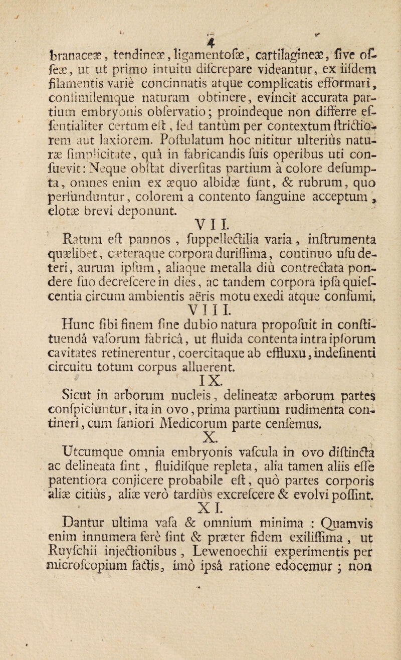 J fcranaceas, tendineas,ligamentofae, cartilagineae, five o£ feie, ut ut primo intuitu difcrepare videantur, exiifdem filamentis varie concinnatis atque complicatis effbrmari* confimilemque naturam obtinere, evincit accurata par¬ tium embryonis ob fer vatio; proindeque non differre ef- fentialiter certum elt, fed tantum per contextum ftridio- rem aut laxiorem. Poftulatum hoc nititur ulterius natu¬ ra (implicitate, qua in fabricandis fuis operibus uti con- fuevit: Neque obftat diverfitas partium a colore defump- ta, omnes enim ex aequo albidae funt, & rubrum, qua perfunduntur, colorem a contento fanguine acceptum * elatae brevi deponunt. VII. Ratum eft pannos , fuppelledilia varia, inflrumenta quaelibet, caeteraque corporaduriffima, continuo ufude¬ teri, aurum ipfum, aliaque metalla diu contredata pon¬ dere fuodecrefcerein dies, ac tandem corpora ipfaquief- centia circum ambientis aeris motu exedi atque conlumi, V 111. Hunc fibi finem fine dubio natura propofuit in confli, tuenda vaforum fabrica, ut fluida contenta intra ipl orum cavitates retinerentur, coercitaque ab effluxu, indefmenti circuitu totum corpus alluerent. IX. Sicut in arborum nucleis, delineatae arborum partes confpiciuntur,itain ovo,prima partium rudimenta con¬ tineri , cum faniori Medicorum parte cenfemus. X. Utcumque omnia embryonis vafcula in ovo diftinda ac delineata fint, fiuidifque repleta, alia tamen aliis efle patentiora conjicere probabile eft, quo partes corporis aliae citius, aliae vero tardius excrefcere & evolvi poffint X I. _ Dantur ultima vafa & omnium minima : Quamvis enim innumera fere fint & praeter fidem exiliffima , ut Ruyfchii injedionibus, Lewenoechii experimentis per microfcopium fadis, imo ipsa ratione edocemur ; non \
