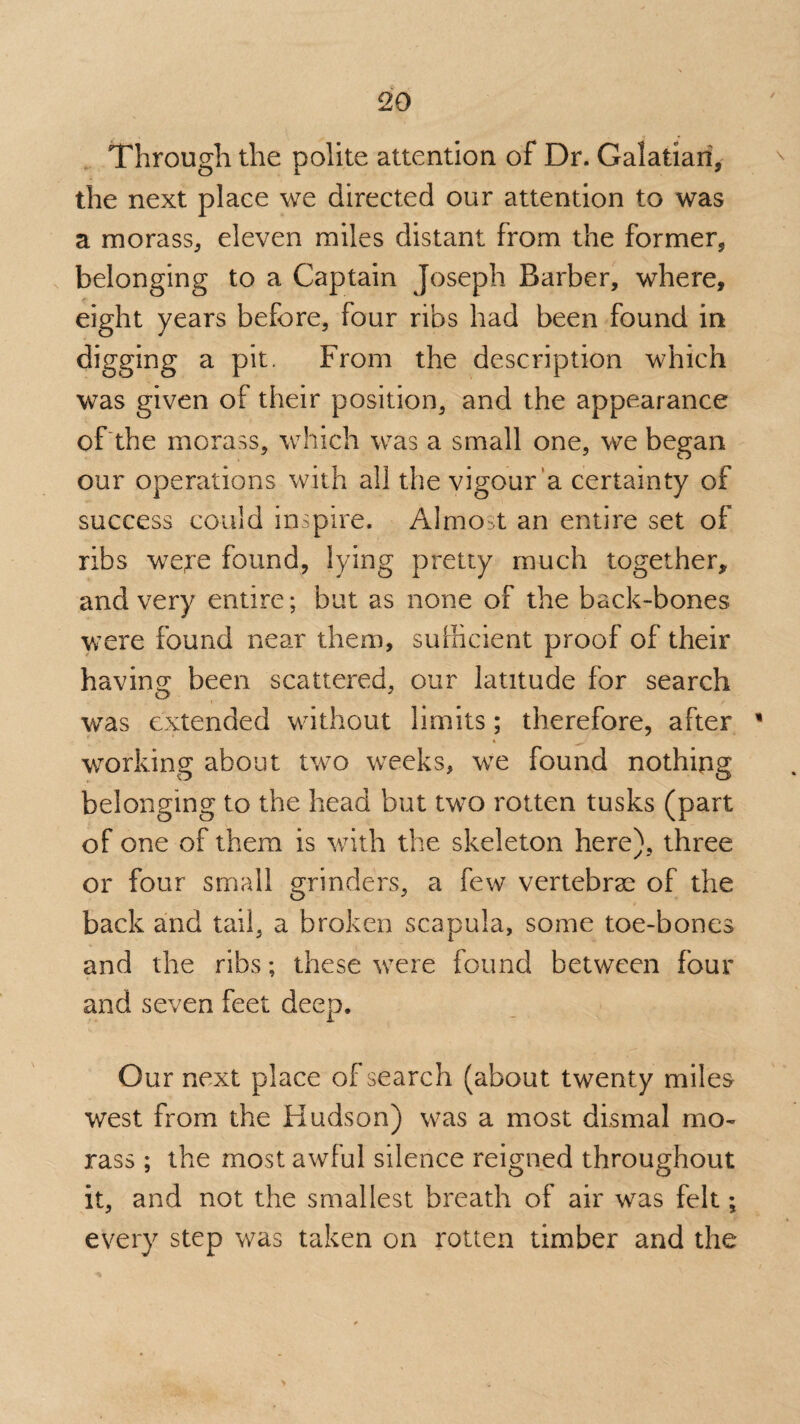 Through the polite attention of Dr. Galatian, the next place we directed our attention to was a morass, eleven miles distant from the former, belonging to a Captain Joseph Barber, where, eight years before, four ribs had been found in digging a pit. From the description which was given of their position, and the appearance of the morass, which was a small one, we began our operations with all the vigour a certainty of success could inspire. Almost an entire set of ribs were found, lying pretty much together, and very entire; but as none of the back-bones were found near them, sufficient proof of their having been scattered, our latitude for search was extended without limits; therefore, after * working about two weeks, we found nothing belonging to the head but two rotten tusks (part of one of them is with the skeleton here), three or four small grinders, a few vertebrae of the back and tail, a broken scapula, some toe-bones and the ribs; these were found between four and seven feet deep. Our next place of search (about twenty miles west from the Hudson) was a most dismal mo¬ rass ; the most awful silence reigned throughout it, and not the smallest breath of air was felt; every step was taken on rotten timber and the