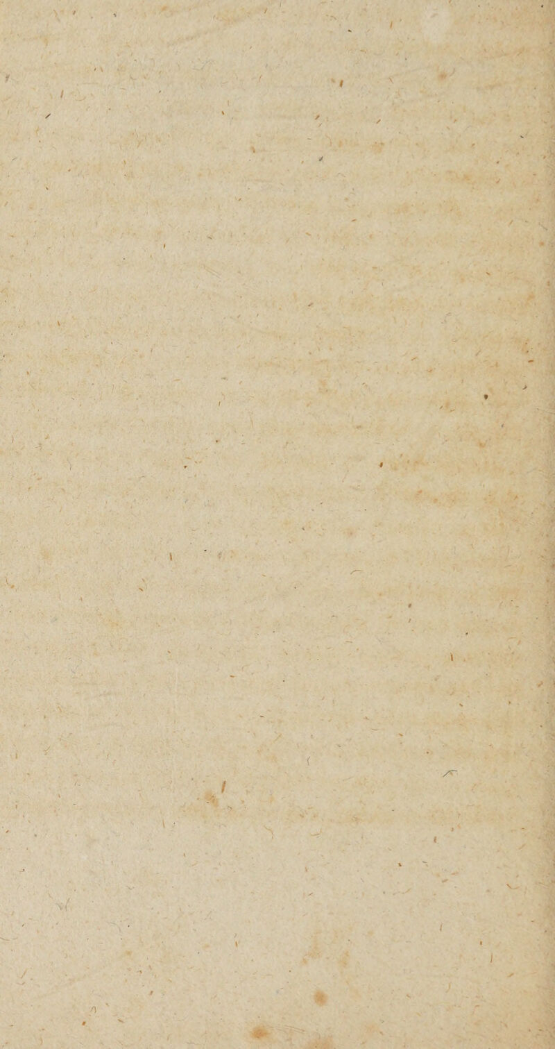 V ' y f > I \ \ \ i / ]