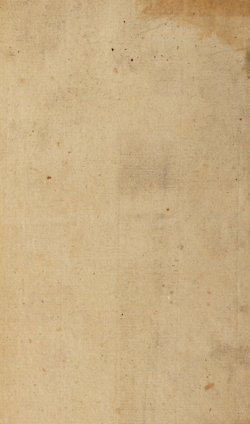 'l ■ ' ' , V. / ■ Tv> . .. •’ .• • • ■ ■■■■ . 1' / •• W f ' . i '*V.1 ***J. o 3» . «> v - ■ •' m_ .. jj* \ W*‘ * v ..«31 ....... .'■, ■■■:. ■. • * . M y,.. ■ - . . - v J •>■■■■ I . J. :> ■■. f V .. ■ '.■-■./V';: wv,if .A'. M Ha • V ' <• , .•V . V • . Mi* . ; ^ ' ' ' ■ 'V v t 1 r ■ *• I - - 1 I . J. . ;• j .... x - I \ • V ’£ ' I . > .... ■ :/ ;. v -,v ; • . ■ i t H 'A ..... . . ' . f;: > vi:». ■m . .v v - *. / '■ •■■f i y xr -'Vv’“ •  ' ■( -• • - • • • . >v .i fv . ■ -• v • ■ At.