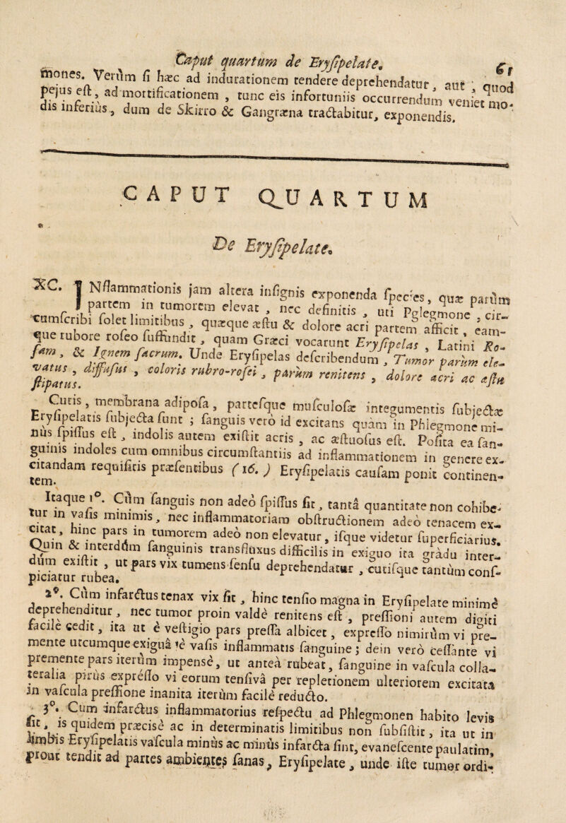 mones. VerAm fi harc ad indurationem tendere deprehendatur aut 01,o4 Fjuseft , ad mortificationem , tunc eis infortuniis occurrendum veniet is infertus , dum de Skirro & Gangratna tradlabitur, exponendis. C A F U T Q^U ARTUM Etyjipelate. XC. | Nflammationis jam altera infignis exponenda fpec-es, aax pat*m I partem in tumorem elevat , nec definitis , uti Pglegmonc cir camfcribi folet limitibus , quatque *ftu & dolore acri partem afficit eam- 5Ue tUDQ1® ro!eo Affundit, quam Grarci vocarunt Eryfipelas Latini Re f*Z * * £*? facrl!m‘ Uie EcYC,Pelas diribendum, Tumor parum flel JhpTtHS4^’ ’ m mbr°-rBfci> ?A™m renium , dolore Jcri ac aflu Cutis, membrana adipofa , partefque mufculofc integumentis fubjedat Eryfipelaus fubjeaa funt ; faaguw vero id excitans quam in Phlegmone mi¬ nus fpiffus eft , indolis autem exiftic acris , ac arftuofus eft. Pofita eafan- gunns indoles cum omnibus circumftantiis ad inflammationem in canere ex citandam requ.fit.s prrefentibus (16. J Eryfipelatis caufam ponit Sontinen- C'n fanguis n°n ade° rPiffus fit. tanta quantitate non cohibe- ?,Jn lafis mlnlm,s > nec inflammatoriam obftruftionem adeb tenacem ex- Onin ZT PTt lnrtumorem ade° non elevatur, ifque videtur fuperficiarius. Quin & interddm fanguims transfluxus difficilis in exiguo ita gradu inter- {Stw ?uU“tf“,V“ tUmenS fenfu deprehendatur , cunfque tantum conf- a •'. Cu m infarfhis tenax vix fit, hinc tenfio magna in Eryfipelate minime deprehermitur, nec tumor proin valdd renitens eft , preffioni autem digiti facile cedit, ita at e yeftigio pars prefla albicet, expreffo nimirum vi pre¬ mente utcumque exigui td vafis inflammatis fanguine; dein vero certante vi premente pars iterum impense, ut antea rubeat, fanguine in vafcula colla- t alia pirus exprerto vi eorum tenfiva per repletionem ulteriorem excitata 3n vaicoia prefiione inanita iterum facile redu£to. 3°. Cum infardus inflammatorius refpedu ad Phlegmonen habito levis y', 'S^Uidem,Pr*clsd f in determinatis limitibus non fubfiftit, ita ut in S/tendS3115 “IT3 3r ^ in%aa fmt> evanefce™epaulatim, fIoai teadlt ad panes ambieqtc? fanas, Erylipelace, unde ifte tumor ordi-