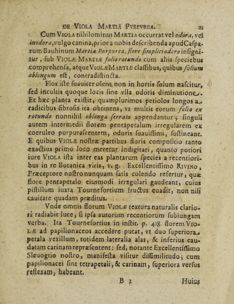 Cum Viola nihilominus Martia occurrat vel 6 dor a ^ vel inodora^ulgo canina,prior a nobis defcribenda apudCafpa- rum Bauhinum Martin Purpurent flore (Impitciodcro infigni* tur ,-fub Viola; Marti & fotiorotundo cum afils fpeciebus comprehenfa, atqucVio-L/EM artle cladibus, quibus filium oblongum eft, contradiftinda. Flos ifte fuauirer olens, non in hortis folum nafcitur, fy fed incultis quoque locis fine vlla odoris diminutiono. Et hsec planta exiftir, quamplunmos petiolos longos a- radicibus fibrofis ita obtinens , vt multis eorum filia ex rotundo nonnihil oblonga ferrata appendantur ; finguli autem intermedii florem pentapetalum irregularem ex coeruleo purpurafeentem, odoris fuauiflimi, fuflineant. E quibus Violae noftrae partibus floris compofitio tanto exactius primo loco meretur indigitari, quanto potiori iure Viola ifta inter eas plantarum fpecies a recentiori- feus in re Botanica viris, v. g. Excellentiffimo Rivimo, Praeceptore noftro nunquam fatis colendo refertur, quse flore pentapetalo eiusmodi irregulari gaudeant, cuius piftillum iuxta Tourncfortium frusftus euadit, nonnifi cauitate quadam praeditus. Vnd® omnis florum Viql,£ textura naturalis clario¬ ri radiabit luce, G ipfa autorum reccntiorum fubiungam verba. Ita Tournefortius in inftit. p. 418. florem Vio* lae ad papilionaccos accedere putat, vt duo fuperiora^ petala vexillum, totidem lateralia alas, & inferius cau« datam carinam repraefentent: fed, notante Excellentiffimo Sleuogtio noftro, manifefla vifitur diffimilitudo* cum papilionacei fint tetrapetali, & carinam, fuperiora verfus reflexam, habeant,