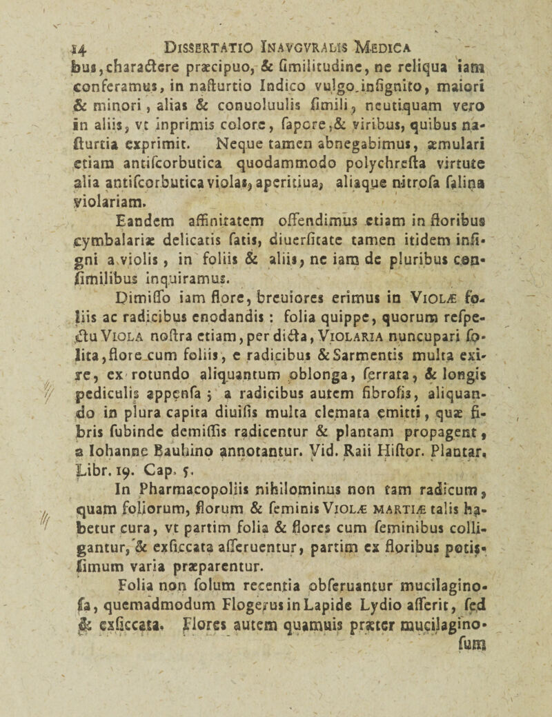 jbu8,charadcre praecipuo, & Gmilicudine, ne reliqua iam conferamus, in nafturtio Indico vulgo, infignito, maiori & minori, alias & conuoluulis iimili, neutiquam vero in aliis, vt inpriniis colore, fapcre.& viribus, quibus na- fturda exprimit. Neque tamen abnegabimus, aemulari etiam antifcorbutica quodammodo poiychrefta virtute alia antifcorbutica violas, aperitiua, aliaque nitrofa falina Molariam. Eandem affinitatem offendimus etiam in floribus cymbalariae delicatis fatis, diuerfitate tamen itidem infi- gni a,violis, in foliis & aliis^ nc iam de pluribus coa* fimilibus inquiramus. Dimiffo iam flore, breuiores erimus in Violje fo¬ liis ac radicibus enodandis: folia quippe, quorum refpe- <£tuViola noflra etiam,per dida, Violaria nuncupari fp- lita,florejcum foliis, e radicibus & Sarmentis multa exi* re, ex rotundo aliquantum oblonga, ferrata, & longis pediculis appcnfa $ a radicibus autem fibrofis, aliquan¬ do in plura capita diuifis mulca densata emitti, quae fi¬ bris fubinde demiffis radicentur & plantam propagent 9 a Iohanne Bauhino annotantur. Vid. Raii Hiftor. Plantar, .'' * ' ’ • •• • '* K' i • t * * t t * yj - «* • Libr. 19. Cap, 5. In Pharraacopoliis nihilominus non tam radicum 9 quam foliorum, florum & feminis Viol^ marti^ talis ha¬ betur cura, vt partim folia & flores cum feminibus colli¬ gantur,^: exficcata afferuentur, partim cx floribus potis» fimum varia praeparentur. Folia non folum recentia obferuantur mucilagino- fa, quemadmodum Flogejrus in Lapide Lydio afferit, fed §£ exficcata. Flores autem quamuis praeter mucilagino- fima