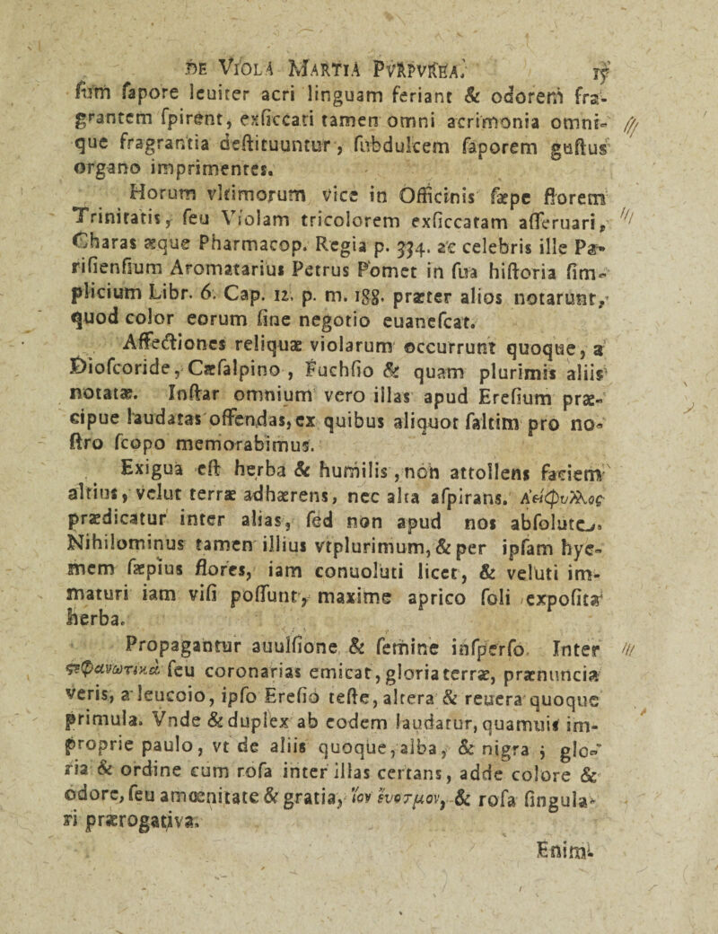 fiim fapore leuiter acri linguam feriant & odoreni fra¬ grantem fpirent, exficcari tamen omni acrimonia omni- {// que fragrantia deftiruuntur, fubdukem faporem gtaftus’ organo imprimentes. Horum vkimorutn vice in Officinis fatpc florent Trinitatis, feu \ solam tricolorem exficcatam afferuari,, Charas aeque Pharmacop. Regia p. 534. ac celebris ille Par- rifienfium Aromatarius Petrus Pomet in fua hiftoria fim~ plicium Libr. 6. Cap. 12. p. m. igg. pratter alios notarunt/ quod color eorum fine negotio euanefcat. Affedtioncs reliquae violarum occurrunt quoque, a 3&iofcoride, Csfalpino , Fuchfio & quam plurimis aliis notatae. Inftar omnium vero illas apud Erefium prse- cipue laudatas offendas, ex quibus aliquot faltinv pro no* ftro fcopo memorabimus. Exigua c(t herbat humilis,non attollens faciem altius, vclut terrae adhaerens, nec alta afpirans. A'aQvZKoc praedicatur inter alias, fed non apud nos abfolute-/» Nihilominus tamen illius vtplurimum, & per ipfam hyc» snem faepius flores, iam conuoluti licet, & veluti im¬ maturi iam vifi poffunty maxime aprico foli /expofit# herbae Propagantur auulfione & femine infperfo Inter /// &0amrixd feu coronarias emicat, gloriacerrse, prsnuncia veris, a leucoio, ipfo Erefio tefte, altera & reuera quoque primula. Vnde & duplex ab eodem laudatur, quamuU im¬ proprie paulo, vt de aliis quoque, alba, & nigra $ glo^ ria & ordine cum rofa inter illas certans, adde colore & odore, feu amoenitate & gratia, horpov, Sc rofa fingula* ri prorogativa, Eflinai /