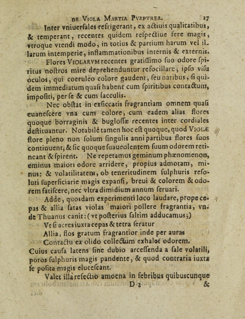 Inter vniuerfales refrigerant> ex acfciuis qualitatibus, & temperant, recentes quidem refpe&iue fere magis, vtroque vtendi modo, in totius & partium harum vel il¬ larum intemperie, inflammationibus internis & externis. Flores Violarvm recentes gratiflimo fuo odore fpi- riius noftros mire deprehenduntur refocillarej ipfo vifu oculos, qui coeruleo colore gaudent, feu naribus, fi qui¬ dem immediatum quafi habent cum fpiritibus contaftum, impoliti, per fe & cum (acculis. Nec obftat in exficcatis fragrantiam omnem quafi euanefcere vna cum colore, cum eadem alias flores quoque borraginis & buglotfa: recentes inter cordiaies deftituantur. Notabili tamen hoc dl quoque, quod Violae flore pleno non folum lingulis anni partibus flores fuos continuent, & fic quoque fuaueolentem fuum odorem reti¬ neant & fpirent. Ne repetamus geminum phaenomenon, eminus maiori odore arridere, propius admotam, mi* nus: & volatilitatera, ob teneritudinem fulphuris refo- luti fuperficiarie magis expanfi, breui & colorem & odo¬ rem fatifcere, nec vitra dimidium annum feruari. Adde, quosdam experimenti loco laudare, prope ce¬ pas & allia fatas violas maiori pollere fragrantia, vn- deThuanus canit :(vtpo(lcrius faltim adducamusj) VtG acres iuxta cepas &tetra feratur Allia, flos gratum fragrantior inde per auras Contaftu ex olido colle&um exhalat odorem. Cuius caufa latens fine dubio arceflenda a fale volatili, poros fulphuris magis pandente, & quod contraria iuxta fe pofita magis elucefeant. Valet illa referio amoena in febribus quibuscunque D % &