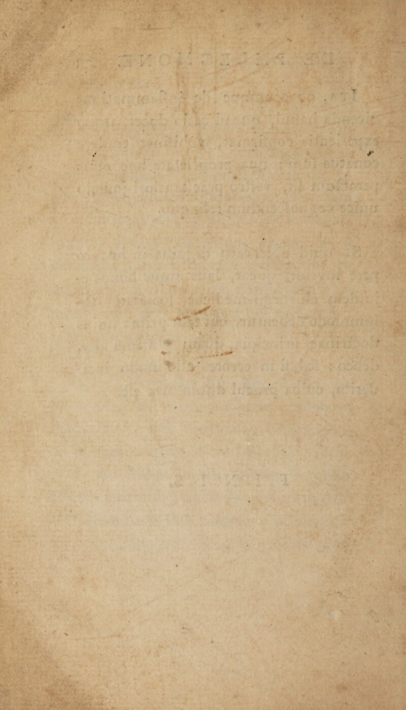 ■ v ' ■ <2 * ■ * '! “ _- ■ . » - *• ' , ’ r '-r e ■ r ' m * *- \ ■ . <• » A P . . > > i . w: *