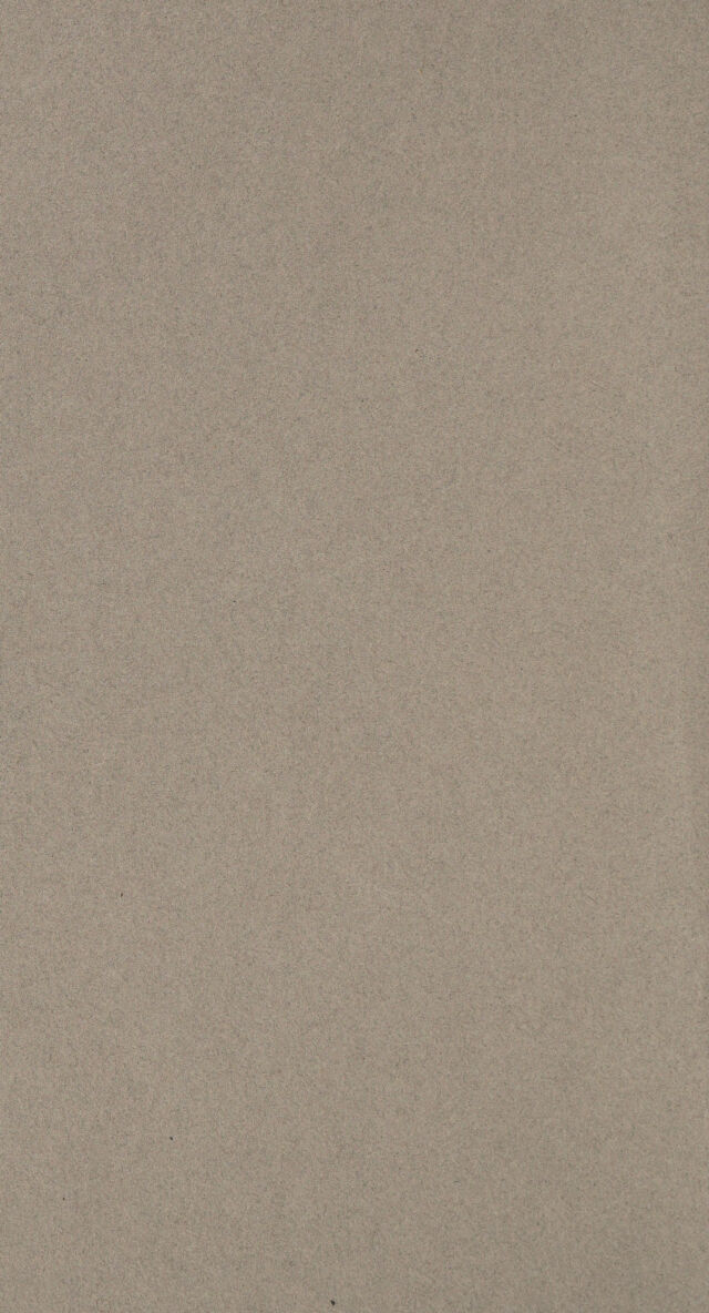 digitised image 2
