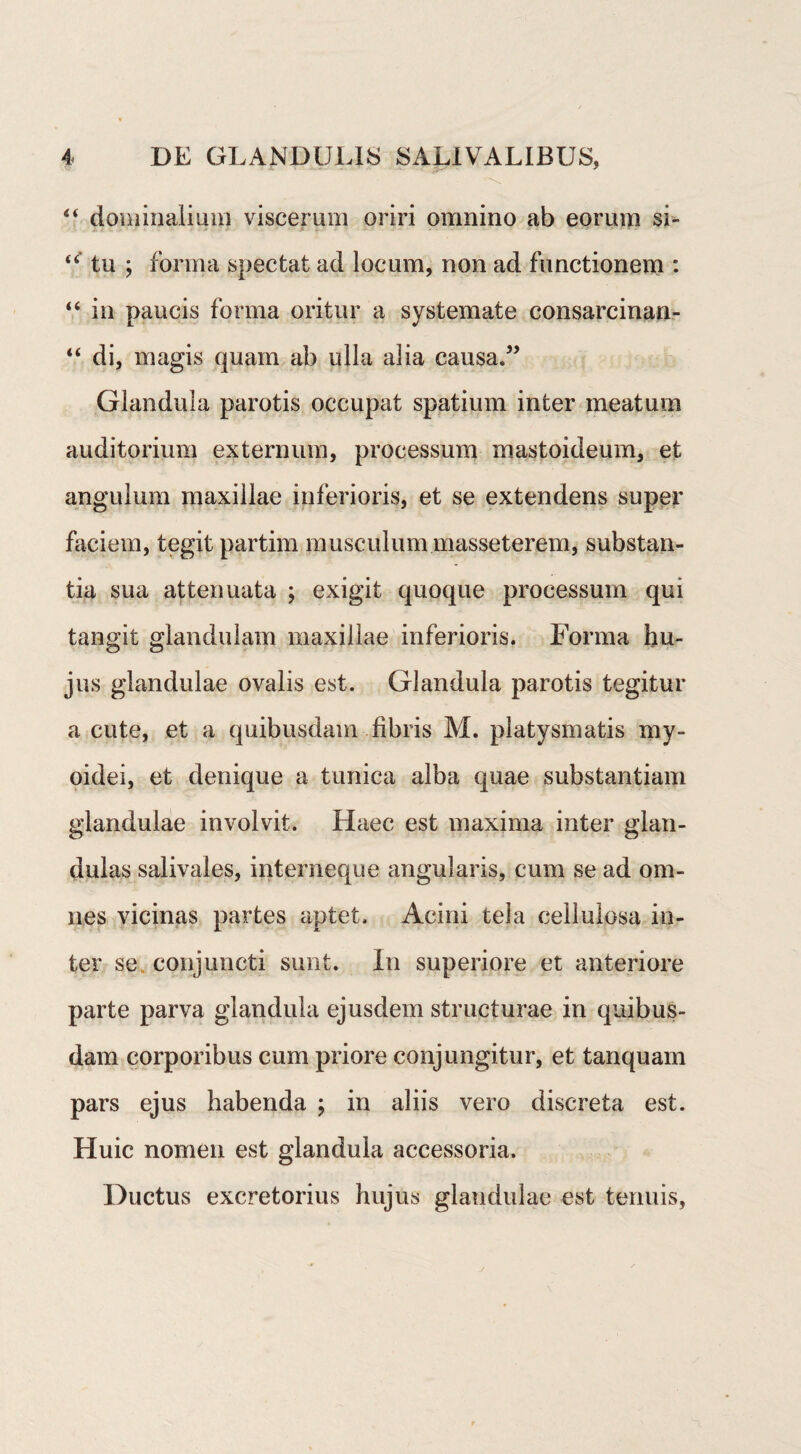 x “ dominalium viscerum oriri omnino ab eorum si- tu ; forma spectat ad locum, non ad functionem : “ in paucis forma oritur a systemate consarcinan- “ di, magis quam ab ulla alia causa.” Glandula parotis occupat spatium inter meatum auditorium externum, processum mastoideum, et angulum maxillae inferioris, et se extendens super faciem, tegit partim musculum masseterem, substan¬ tia sua attenuata ; exigit quoque processum qui tangit glandulam maxillae inferioris. Forma hu¬ jus glandulae ovalis est. Glandula parotis tegitur a cute, et a quibusdam fibris M. platysmatis my¬ oidei, et denique a tunica alba quae substantiam glandulae involvit. Haec est maxima inter glan¬ dulas salivales, interneque angularis, cum se ad om¬ nes vicinas partes aptet. Acini tela cellulosa in¬ ter se conjuncti sunt. In superiore et anteriore parte parva glandula ejusdem structurae in quibus¬ dam corporibus cum priore conjungitur, et tanquain pars ejus habenda ; in aliis vero discreta est. Huic nomen est glandula accessoria. Ductus excretorius hujus glandulae est tenuis.