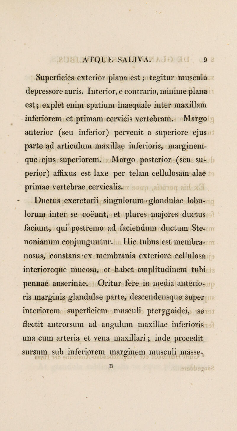 Superficies exterior plana est; tegitur musculo depressore auris. Interior, e contrario, minime plana est; explet enim spatium inaequale inter maxillam inferiorem et primam cervicis vertebram. Margo anterior (seu inferior) pervenit a superiore ejus parte ad articulum maxillae inferioris, marginem¬ que ejus superiorem. Margo posterior (seu su¬ perior) affixus est laxe per telam cellulosam alae primae vertebrae cervicalis. Ductus excretorii singulorum'glandulae lobu¬ lorum inter se coeunt, et plures majores ductus faciunt, qui postremo ad faciendum ductum Ste- nonianum conjunguntur. Hic tubus est membra¬ nosus, constans ex membranis exteriore cellulosa interioreque mucosa, et habet amplitudinem tubi pennae anserinae. Oritur fere in media anterio¬ ris marginis glandulae parte, descendensque super interiorem superficiem musculi pterygoidei, se flectit antrorsum ad angulum maxillae inferioris una cum arteria et vena maxillari; inde procedit sursum sub inferiorem marginem musculi masse- tv.y' ;■ - ® . B