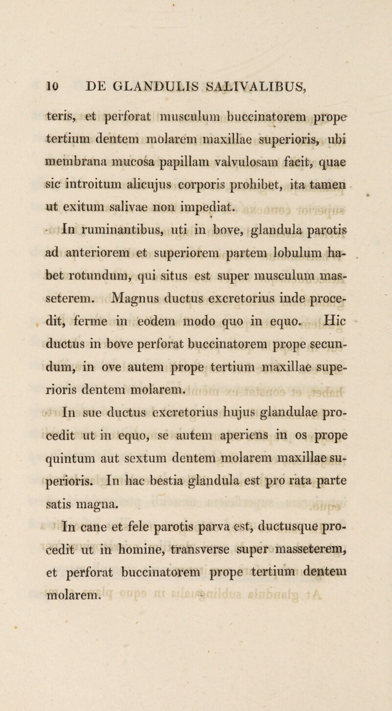 teris, et perforat musculum buccinatorem prope * tertium dentem molarem maxillae superioris, ubi membrana mucosa papillam valvulosain facit, quae sic introitum alicujus corporis prohibet, ita tamen ut exitum salivae non impediat. In ruminantibus, uti in bove, glandula parotis ad anteriorem et superiorem partem lobulum ha¬ bet rotundum, qui situs est super musculum mas- seterem. Magnus ductus excretorius inde proce¬ dit, ferme in eodem modo quo in equo. Hic ductus in bove perforat buccinatorem prope secun¬ dum, in ove autem prope tertium maxillae supe¬ rioris dentem molarem. In sue ductus excretorius hujus glandulae pro¬ cedit ut in equo, se autem aperiens in os prope quintum aut sextum dentem molarem maxillae su¬ perioris. In hac bestia glandula est pro rata parte satis magna. In cane et fele parotis parva est, ductusque pro¬ cedit ut in homine, transverse super masseterem, et perforat buccinatorem prope tertium dentem molarem.