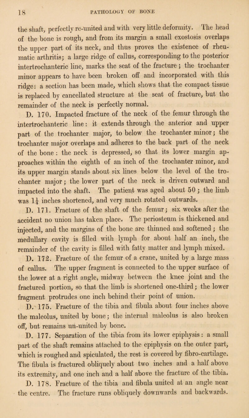 the shaft, perfectly re-united and with very little deformity. The head of the bone is rough, and from its margin a small exostosis overlaps the upper part of its neck, and thus proves the existence of rheu¬ matic arthritis; a large ridge of callus, corresponding to the posterior intertrochanteric line, marks the seat of the fracture ; the trochanter minor appears to have been broken off and incorporated with this ridge: a section has been made, which show's that the compact tissue is replaced by cancellated structure at the seat of fracture, but the remainder of the neck is perfectly normal. D. 170. Impacted fracture of the neck of the femur through the intertrochanteric line: it extends through the anterior and upper part of the trochanter major, to below the trochanter minor; the trochanter major overlaps and adheres to the back part of the neck of the bone : the neck is depressed, so that its lower margin ap¬ proaches within the eighth of an inch of the trochanter minor, and its upper margin stands about six lines below the level of the tro¬ chanter major; the lower part of the neck is driven outward and impacted into the shaft. The patient was aged about 50 ; the limb was 1J inches shortened, and very much rotated outwards. D. 171. Tracture of the shaft of the femur; six weeks after the accident no union has taken place. The periosteum is thickened and injected, and the margins of the bone are thinned and softened; the medullary cavity is tilled with lymph for about half an inch, the remainder of the cavity is tilled with fatty matter and lymph mixed. D. 172. Tracture of the femur of a crane, united by a large mass of callus. The upper fragment is connected to the upper surface of the lower at a right angle, midw'ay between the knee joint and the fractured portion, so that the limb is shortened one-third; the lower fragment protrudes one inch behind their point of union. D. 175. Tracture of the tibia and fibula about four inches above the maleolus, united by bone; the internal maleolus is also broken off, but remains un-united by bone. D. 177. Separation of the tibia from its lower epiphysis : a small part of the shaft remains attached to the epiphysis on the outer part, wThich is roughed and spiculated, the rest is covered by fibro-cartilage. The fibula is fractured obliquely about two inches and a half above its extremity, and one inch and a half above the fracture of the tibia. D. 178. Tracture of the tibia and fibula united at an angle near the centre. The fracture runs obliquely downwards and backwards.