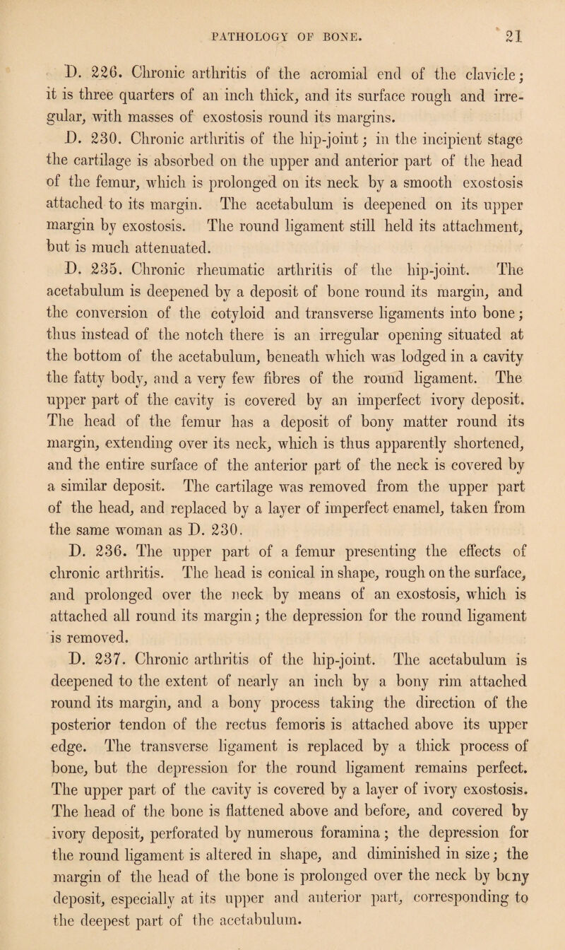 D. 226. Chronic arthritis of the acromial end of the clavicle; it is three quarters of an inch thick, and its surface rough and irre¬ gular, with masses of exostosis round its margins. D. 230. Chronic arthritis of the hip-joint; in the incipient stage the cartilage is absorbed on the upper and anterior part of the head of the femur, which is prolonged on its neck by a smooth exostosis attached to its margin. The acetabulum is deepened on its upper margin by exostosis. The round ligament still held its attachment, but is much attenuated. D. £35. Chronic rheumatic arthritis of the hip-joint. The acetabulum is deepened by a deposit of bone round its margin, and the conversion of the cotyloid and transverse ligaments into bone; thus instead of the notch there is an irregular opening situated at the bottom of the acetabulum, beneath which was lodged in a cavity the fatty body, and a very few fibres of the round ligament. The upper part of the cavity is covered by an imperfect ivory deposit. The head of the femur has a deposit of bony matter round its margin, extending over its neck, which is thus apparently shortened, and the entire surface of the anterior part of the neck is covered by a similar deposit. The cartilage was removed from the upper part of the head, and replaced by a layer of imperfect enamel, taken from the same woman as D. 230. D. 236. The upper part of a femur presenting the effects of chronic arthritis. The head is conical in shape, rough on the surface, and prolonged over the neck by means of an exostosis, which is attached all round its margin; the depression for the round ligament is removed. D. 237. Chronic arthritis of the hip-joint. The acetabulum is deepened to the extent of nearly an inch by a bony rim attached round its margin, and a bony process taking the direction of the posterior tendon of the rectus femoris is attached above its upper edge. The transverse ligament is replaced by a thick process of bone, but the depression for the round ligament remains perfect. The upper part of the cavity is covered by a layer of ivory exostosis. The head of the bone is flattened above and before, and covered by ivory deposit, perforated by numerous foramina; the depression for the round ligament is altered in shape, and diminished in size; the margin of the head of the bone is prolonged over the neck by bcny deposit, especially at its upper and anterior part, corresponding to the deepest part of the acetabulum.