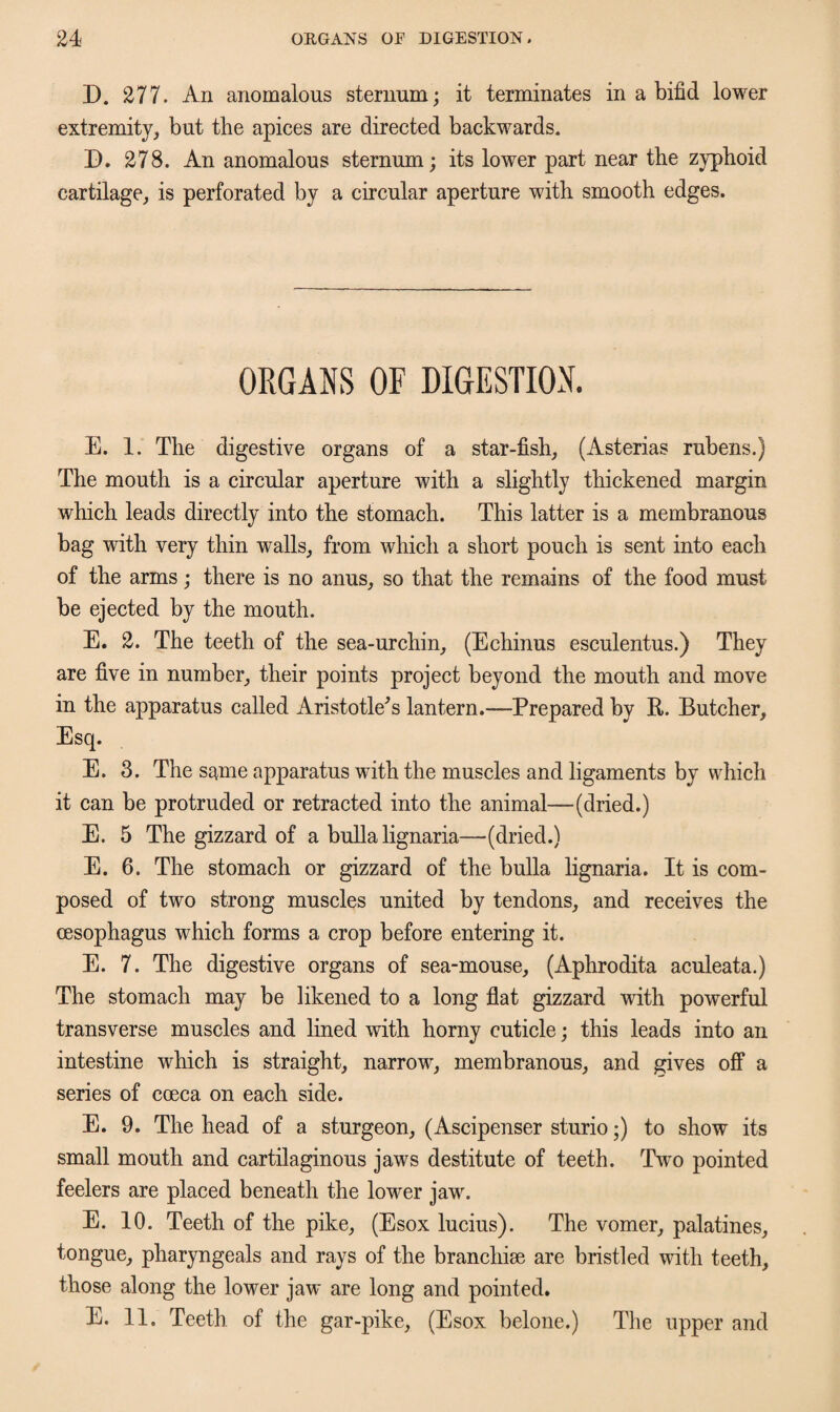 D. 277. An anomalous sternum; it terminates in a bifid lower extremity, but the apices are directed backwards. D. 278. An anomalous sternum; its lower part near the zyphoid cartilage, is perforated by a circular aperture with smooth edges. ORGANS OF DIGESTION. E. 1. The digestive organs of a star-fish, (Asterias rubens.) The mouth is a circular aperture with a slightly thickened margin which leads directly into the stomach. This latter is a membranous bag with very thin walls, from which a short pouch is sent into each of the arms; there is no anus, so that the remains of the food must be ejected by the mouth. E. 2. The teeth of the sea-urchin, (Echinus esculentus.) They are five in number, their points project beyond the mouth and move in the apparatus called Aristotle's lantern.—Prepared by R. Butcher, Esq. E. 3. The same apparatus with the muscles and ligaments by which it can be protruded or retracted into the animal—(dried.) E. 5 The gizzard of a bulla lignaria—(dried.) E. 6. The stomach or gizzard of the bulla lignaria. It is com¬ posed of two strong muscles united by tendons, and receives the oesophagus which forms a crop before entering it. E. 7. The digestive organs of sea-mouse, (Aphrodita aculeata.) The stomach may be likened to a long flat gizzard with powerful transverse muscles and lined with horny cuticle; this leads into an intestine which is straight, narrow, membranous, and gives off a series of coeca on each side. E. 9. The head of a sturgeon, (Ascipenser sturio;) to show its small mouth and cartilaginous jaws destitute of teeth. Two pointed feelers are placed beneath the lower jaw. E. 10. Teeth of the pike, (Esox lucius). The vomer, palatines, tongue, pharyngeals and rays of the brancliise are bristled with teeth, those along the lower jaw are long and pointed. E. 11. Teeth of the gar-pike, (Esox belone.) The upper and