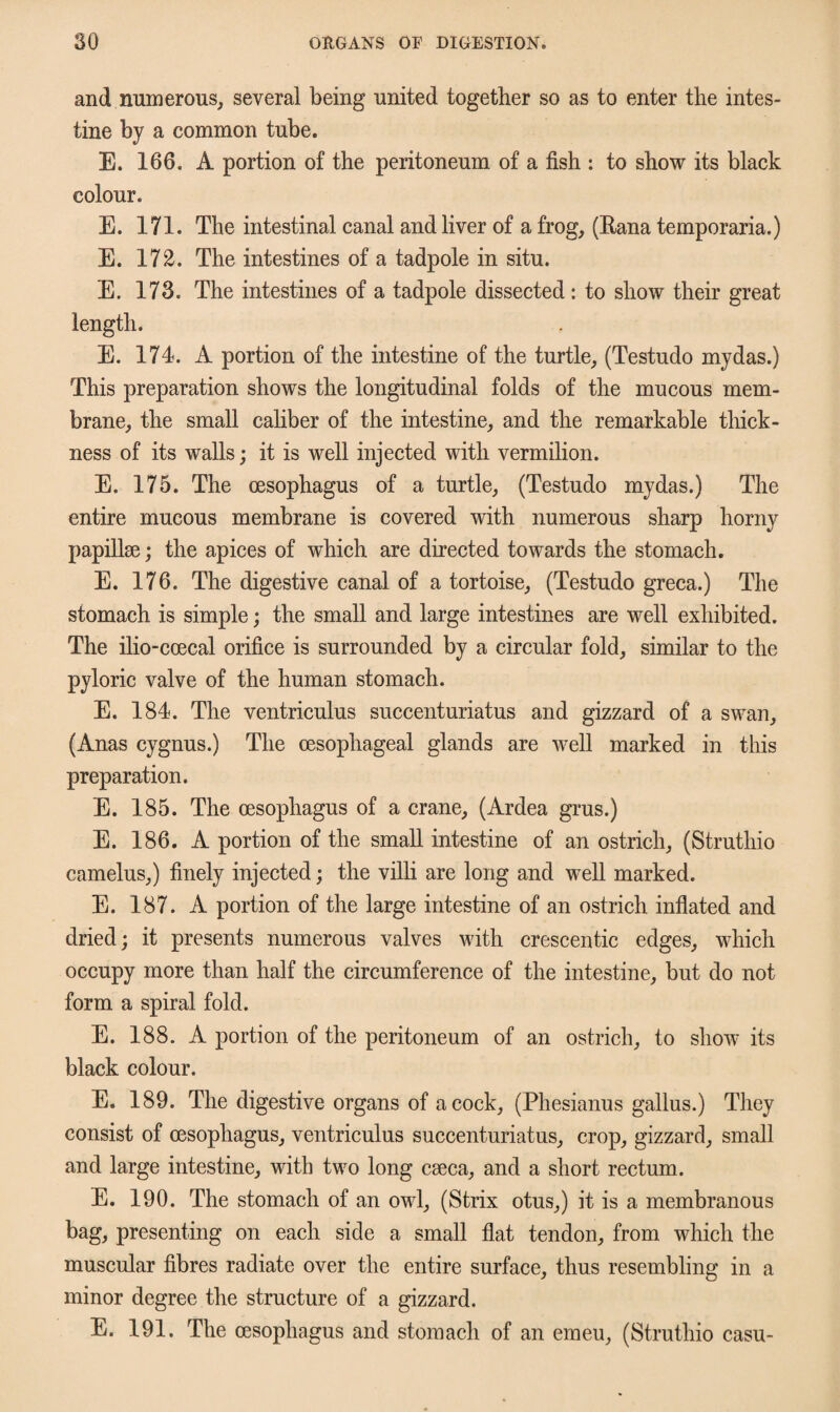 and numerous, several being united together so as to enter the intes¬ tine by a common tube. E. 166. A portion of the peritoneum of a fish : to show its black colour. E. 171. The intestinal canal and liver of a frog, (Eana temporaria.) E. 172. The intestines of a tadpole in situ. E. 173. The intestines of a tadpole dissected: to show their great length. E. 174. A portion of the intestine of the turtle, (Testudo mydas.) This preparation shows the longitudinal folds of the mucous mem¬ brane, the small caliber of the intestine, and the remarkable thick¬ ness of its walls; it is well injected with vermilion. E. 175. The oesophagus of a turtle, (Testudo mydas.) The entire mucous membrane is covered with numerous sharp horny papilke; the apices of which are directed towards the stomach. E. 176. The digestive canal of a tortoise, (Testudo greca.) The stomach is simple; the small and large intestines are well exhibited. The ilio-coecal orifice is surrounded by a circular fold, similar to the pyloric valve of the human stomach. E. 184. The ventriculus succenturiatus and gizzard of a swan, (Anas cygnus.) The oesophageal glands are well marked in this preparation. E. 185. The oesophagus of a crane, (Ardea grus.) E. 186. A portion of the small intestine of an ostrich, (Struthio camelus,) finely injected; the villi are long and well marked. E. 187. A portion of the large intestine of an ostrich inflated and dried; it presents numerous valves with crescentic edges, which occupy more than half the circumference of the intestine, but do not form a spiral fold. E. 188. A portion of the peritoneum of an ostrich, to show its black colour. E. 189. The digestive organs of acock, (Phesianus gallus.) They consist of oesophagus, ventriculus succenturiatus, crop, gizzard, small and large intestine, with two long caeca, and a short rectum. E. 190. The stomach of an owl, (Strix otus,) it is a membranous bag, presenting on each side a small flat tendon, from which the muscular fibres radiate over the entire surface, thus resembling in a minor degree the structure of a gizzard. E. 191. The oesophagus and stomach of an emeu, (Struthio casu-