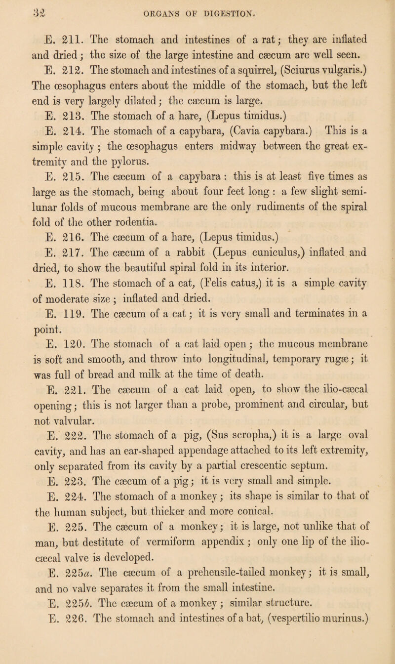 V .V E. 211. The stomach and intestines of a rat; they are inflated and dried; the size of the large intestine and caecum are well seen. E. 212. The stomach and intestines of a squirrel, (Sciurus vulgaris.) The oesophagus enters about the middle of the stomach, but the left end is very largely dilated; the caecum is large. E. 213. The stomach of a hare, (Lepus timidus.) E. 214. The stomach of a capybara, (Cavia capybara.) This is a simple cavity; the oesophagus enters midway between the great ex¬ tremity and the pylorus. E. 215. The caecum of a capybara : this is at least five times as large as the stomach, being about four feet long : a few slight semi¬ lunar folds of mucous membrane are the only rudiments of the spiral fold of the other rodentia. E. 216. The caecum of a hare, (Lepus timidus.) E. 217. The caecum of a rabbit (Lepus cuniculus,) inflated and dried, to show the beautiful spiral fold in its interior. E. 118. The stomach of a cat, (Eelis catus,) it is a simple cavity of moderate size ; inflated and dried. E. 119. The caecum of a cat; it is very small and terminates in a point. E. 120. The stomach of a cat laid open; the mucous membrane is soft and smooth, and throw into longitudinal, temporary rugae; it was full of bread and milk at the time of death. E. 221. The caecum of a cat laid open, to show the ilio-caecal opening; this is not larger than a probe, prominent and circular, but not valvular. E. 222. The stomach of a pig, (Sus scropha,) it is a large oval cavity, and has an ear-shaped appendage attached to its left extremity, only separated from its cavity by a partial crescentic septum. E. 223. The caecum of a pig; it is very small and simple. E. 224. The stomach of a monkey; its shape is similar to that of the human subject, but thicker and more conical. E. 225. The caecum of a monkey; it is large, not unlike that of man, but destitute of vermiform appendix ; only one lip of the ilio- caecal valve is developed. E. 225a. The caecum of a prehensile-tailed monkey; it is small, and no valve separates it from the small intestine. E. 225&. The caecum of a monkey ; similar structure. E. 226. The stomach and intestines of a bat, (vespertilio murinus.)