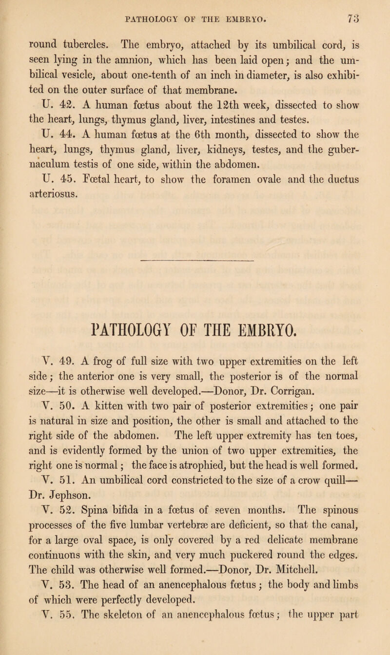 round tubercles. The embryo, attached by its umbilical cord, is seen lying in the amnion, which has been laid open; and the um¬ bilical vesicle, about one-tenth of an inch in diameter, is also exhibi¬ ted on the outer surface of that membrane. U. 42. A human fcetus about the 12th week, dissected to show the heart, lungs, thymus gland, liver, intestines and testes. U. 44. A human foetus at the 6th month, dissected to show the heart, lungs, thymus gland, liver, kidneys, testes, and the guber- naculum testis of one side, within the abdomen. U. 45. Toetal heart, to show the foramen ovale and the ductus arteriosus. PATHOLOGY OF THE EMBRYO. V. 49. A frog of full size with two upper extremities on the left side; the anterior one is very small, the posterior is of the normal size—it is otherwise well developed.-—Donor, Dr. Corrigan. Y. 50. A kitten with two pair of posterior extremities; one pair is natural in size and position, the other is small and attached to the right side of the abdomen. The left upper extremity has ten toes, and is evidently formed by the union of two upper extremities, the right one is normal; the face is atrophied, but the head is well formed. Y. 51. An umbilical cord constricted to the size of a crow quill— Dr. Jephson. Y. 52. Spina bifida in a foetus of seven months. The spinous processes of the five lumbar vertebrae are deficient, so that the canal, for a large oval space, is only covered by a red delicate membrane continuous with the skin, and very much puckered round the edges. The child was otherwise well formed.—Donor, Dr. Mitchell. Y. 53. The head of an anencephalous foetus; the body and limbs of which were perfectly developed. Y. 55. The skeleton of an anencephalous foetus; the upper part