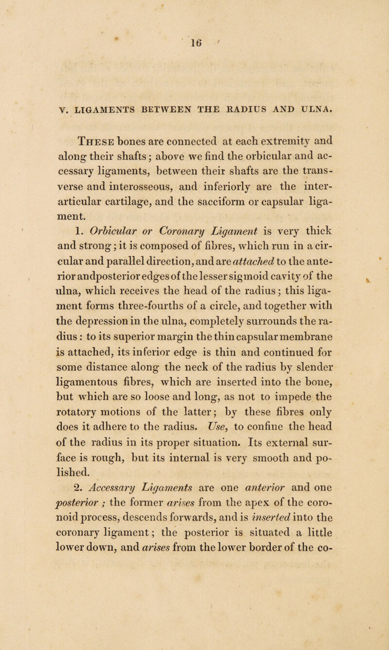 V. LIGAMENTS BETWEEN THE RADIUS AND ULNA. These bones are connected at each extremity and along their shafts; above we find the orbicular and ac¬ cessary ligaments, between their shafts are the trans¬ verse and interosseous, and inferiorly are the inter- articular cartilage, and the sacciform or capsular liga¬ ment. 1. Orbicular or Coronary Ligament is very thick and strong; it is composed of fibres, which run in a cir¬ cular and parallel direction, and are attached to the ante¬ rior andposterior edges of the lesser sigmoid cavity of the ulna, which receives the head of the radius; this liga¬ ment forms three-fourths of a circle, and together with the depression in the ulna, completely surrounds the ra¬ dius : to its superior margin the thin capsular membrane is attached, its inferior edge is thin and continued for some distance along the neck of the radius by slender ligamentous fibres, which are inserted into the bone, but which are so loose and long, as not to impede the rotatory motions of the latter; by these fibres only does it adhere to the radius. Use, to confine the head of the radius in its proper situation. Its external sur¬ face is rough, but its internal is very smooth and po¬ lished. 2. Accessary Ligaments are one anterior and one posterior ; the former arises from the apex of the coro- noid process, descends forwards, and is inserted into the coronary ligament; the posterior is situated a little lower down, and arises from the lower border of the co-
