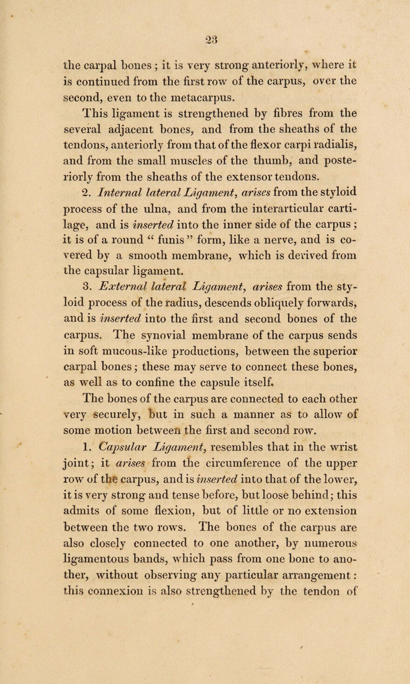 the carpal bones; it is very strong anteriorly, where it is continued from the first row of the carpus, over the second, even to the metacarpus. This ligament is strengthened by fibres from the several adjacent bones, and from the sheaths of the tendons, anteriorly from that of the flexor carpi radialis, and from the small muscles of the thumb, and poste¬ riorly from the sheaths of the extensor tendons. 2. Internal lateral Ligament, arises from the styloid process of the ulna, and from the interarticular carti¬ lage, and is inserted into the inner side of the carpus ; it is of a round “ funis ” form, like a nerve, and is co¬ vered by a smooth membrane, which is derived from the capsular ligament. 3. External lateral Ligament, arises from the sty¬ loid process of the radius, descends obliquely forwards, and is inserted into the first and second bones of the carpus. The synovial membrane of the carpus sends in soft mucous-like productions, between the superior carpal bones; these may serve to connect these bones, as well as to confine the capsule itself. The bones of the carpus are connected to each other very securely, but in such a manner as to allow of some motion between the first and second row. 1. Capsular Ligament, resembles that in the wrist joint; it arises from the circumference of the upper row of the carpus, and is inserted into that of the lower, it is very strong and tense before, but loose behind; this admits of some flexion, but of little or no extension between the two rows. The bones of the carpus are also closely connected to one another, by numerous ligamentous bands, which pass from one bone to ano¬ ther, without observing any particular arrangement : this connexion is also strengthened by the tendon of