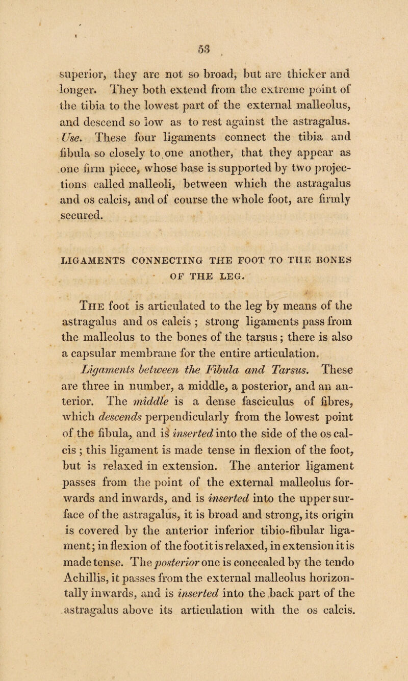 « superioi^ they are not so broad, but arc thicker and longer. They both extend from the extreme point of the tibia to the lowest part of the external malleolus, and descend so low as to rest against the astragalus. Use. These four ligaments connect the tibia and fibula so closely to one another, that they appear as one firm piece, whose base is supported by two projec¬ tions called malleoli, between which the astragalus and os calcis, and of course the whole foot, are firmly secured. LIGAMENTS CONNECTING THE FOOT TO THE BONES OF THE LEG. The foot is articulated to the leg by means of the astragalus and os calcis ; strong ligaments pass from the malleolus to the bones of the tarsus; there is also a capsular membrane for the entire articulation. Ligaments between the Fibula and Tarsus. These are three in number, a middle, a posterior, and an an¬ terior. The middle is a dense fasciculus of fibres, which descends perpendicularly from the lowest point of the fibula, and is inserted into the side of the os cal¬ cis ; this ligament is made tense in flexion of the foot, but is relaxed in extension. The anterior ligament passes from the point of the external malleolus for¬ wards and inwards, and is inserted into the upper sur¬ face of the astragalus, it is broad and strong, its origin is covered by the anterior inferior tibio-fibular liga¬ ment; in flexion of the foot it is relaxed, in extension it is made tense. The posterior one is concealed by the tendo Achillis, it passes from the external malleolus horizon¬ tally inwards, and is inserted into the back part of the astragalus above its articulation with the os calcis.