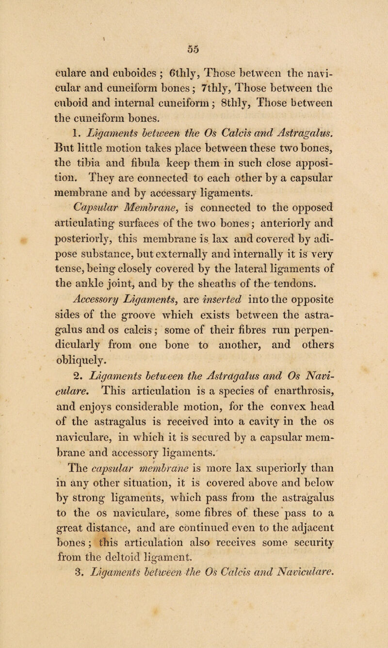 eulare and cuboides ; fithly, Those between the navi¬ cular and cuneiform bones; 7thly, Those between the cuboid and internal cuneiform; 8thly, Those between the cuneiform bones. 1. Ligaments between the Os Calcis and Astragalus. But little motion takes place between these two bones, the tibia and fibula keep them in such close apposi¬ tion. They are connected to each other by a capsular membrane and by accessary ligaments. Capsular Membrane, is connected to the opposed articulating surfaces of the two bones; anteriorly and posteriorly, this membrane is lax and covered by adi¬ pose substance, but externally and internally it is very tense, being closely covered by the lateral ligaments of the ankle joint, and by the sheaths of the tendons. Accessory Ligaments, are inserted into the opposite sides of the groove which exists between the astra¬ galus and os calcis; some of their fibres run perpen¬ dicularly from one bone to another, and others obliquely. 2. Ligaments between the Astragalus and Os Navi- eulare. This articulation is a species of enarthrosis, and enjoys considerable motion, for the convex head of the astragalus is received into a cavity in the os naviculare, in which it is secured by a capsular mem¬ brane and accessory ligaments. The capsular membrane is more lax superiorly than in any other situation, it is covered above and below by strong ligaments, which pass from the astragalus to the os naviculare, some fibres of these pass to a great distance, and are continued even to the adjacent bones; this articulation also receives some security from the deltoid ligament. 3. Ligaments between the Os Calcis and Naviculare.
