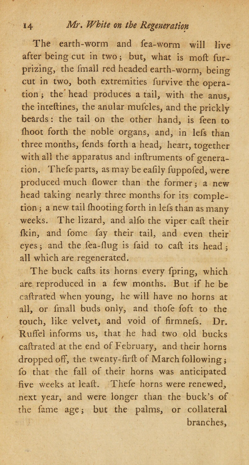 The earth-worm and fea-worm will live after being cut in two; but, what is moft fur- prizing, the fmall red headed earth-worm, being cut in two, both extremities furvive the opera¬ tion ; the' head produces a tail, with the anus, the inteftines, the anular mufcles, and the prickly beards: the tail on the other hand, is feen to llioot forth the noble organs, and, in lefs than three months, fends forth a head, heart, together with all the apparatus and inftruments of genera¬ tion. Thefe parts, as may be eafily fuppofed, were produced much flower than the former 5 a new head taking nearly three months for its comple¬ tion ; a new tail fliooting forth in lefs than as many weeks. The lizard, and alfo the viper call their fkin, and fome fay their tail, and even their eyes; and the fea-flng is faid to call its head ^ all which are regenerated. The buck calls its horns every fpring, which are reproduced in a few months. But if he be caftratied when young, he will have no horns at all, or fmall buds only, and thofe foft to the touch, like velvet, and void of firmnefs. Dr. «> Ruflel informs us, that he had two old bucks caftrated at the end of February, and their horns dropped off, the twenty-firfl: of March following; fo that the fall of their horns w^as anticipated five weeks at leaft. Thefe horns were renewed, next year, and were longer than the buck's of the fame agej but the palms, or collateral branches.