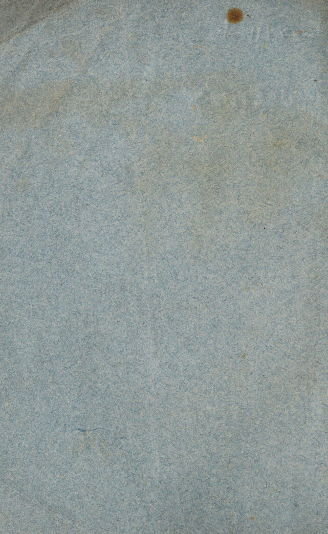 digitised image 2