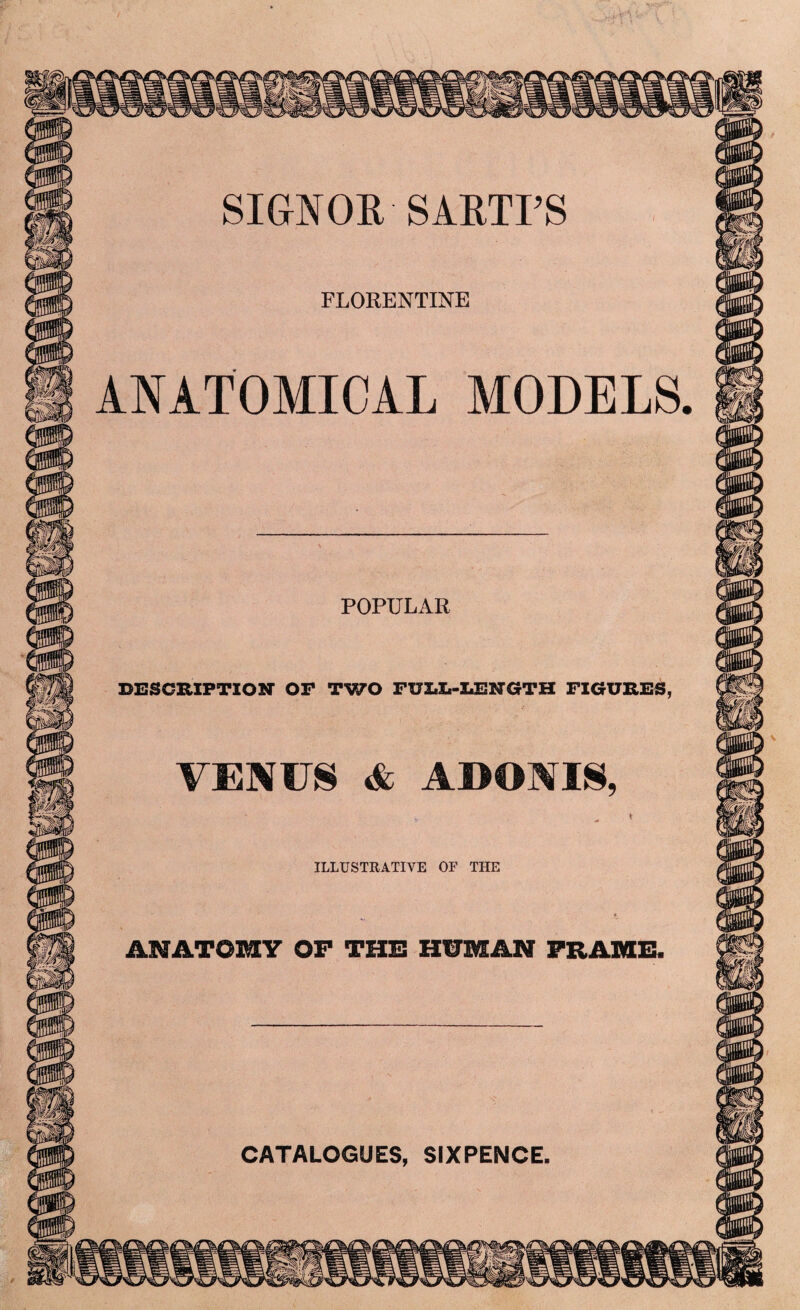 M'] V ’ V ' SIGNOR SARTI’S FLORENTINE ANATOMICAL MODELS. POPULAR DESCRIFTIONT OP TWO PUIL-LENGTH FIGURES, VENUS <fe ADONIS. ILLUSTRATIVE OF THE ANATOMY OF THE HITMAN FRAME. CATALOGUES, SIXPENCE. SilK