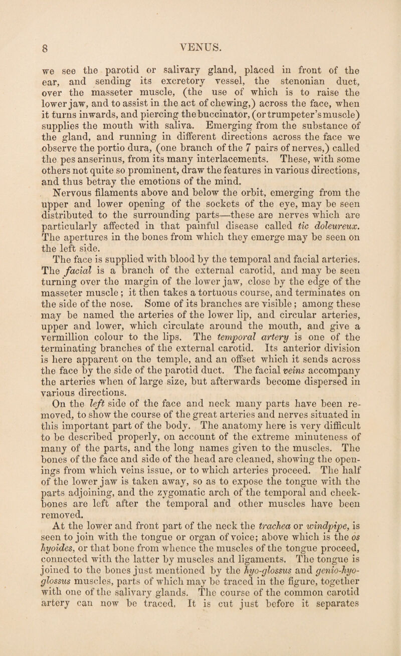 we see the parotid or salivary gland, placed in front of the ear, and sending its excretory vessel, the stenonian duct, over the masseter muscle, (the use of which is to raise the lower jaw, and to assist in the act of chewing,) across the face, when it turns inwards, and piercing the buccinator, (or trumpeter’s muscle) supplies the mouth with saliva. Emerging from the substance of the gland, and running in different directions across the face we observe the portio dura, (one branch of the 7 pairs of nerves,) called the pes anserinus, from its many interlacements. These, with some others not quite so prominent, draw the features in various directions, and thus betray the emotions of the mind. Nervous filaments above and below the orbit, emerging from the upper and lower opening of the sockets of the eye, may be seen distributed to the surrounding parts—these are nerves which are particularly affected in that painful disease called tic doleureux. The apertures in the bones from which they emerge may be seen on the left side. The face is supplied with blood by the temporal and facial arteries. The facial is a branch of the external carotid, and may be seen turning over the margin of the lower jaw, close by the edge of the masseter muscle ; it then takes a tortuous course, and terminates on the side of the nose. Some of its branches are visible; among these may be named the arteries of the lower lip, and circular arteries, upper and lower, which circulate around the mouth, and give a Vermillion colour to the lips. The temporal artery is one of the terminating branches of the external carotid. Its anterior division is here apparent on the temple, and an offset which it sends across the face by the side of the parotid duct. The facial veins accompany the arteries when of large size, but afterwards become dispersed in various directions. On the left side of the face and neck many parts have been re¬ moved, to show the course of the great arteries and nerves situated in this important part of the body. The anatomy here is very difficult to be described properly, on account of the extreme minuteness of many of the parts, and the long names given to the muscles. The bones of the face and side of the head are cleaned, showing the open¬ ings from which veins issue, or to whicli arteries proceed. The half of the lower jaw is taken away, so as to expose the tongue with the parts adjoining, and the zygomatic arch of the temporal and cheek¬ bones are left after the temporal and other muscles have been removed. At the lower and front part of the neck the trachea or windpipe, is seen to join with the tongue or organ of voice; above which is the os hyoides, or that bone from whence the muscles of the tongue proceed, connected with the latter by muscles and ligaments. The tongue is joined to the bones just mentioned by the hyo-glossus and genio-hyo- glossus muscles, parts of which may be traced in the figure, together with one of the salivary glands. The course of the common carotid artery can now be traced. It is cut just before it separates