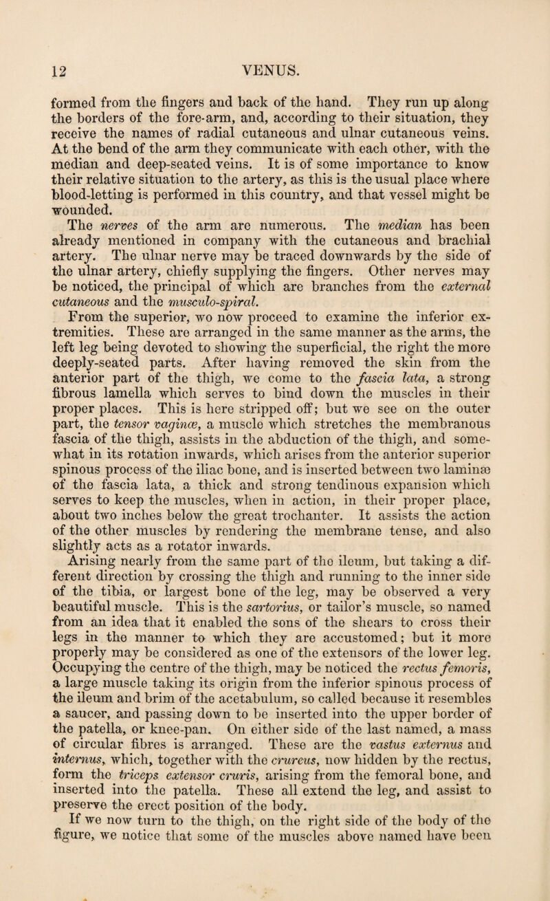 formed from the fingers and back of the hand. They run up along the borders of the fore-arm, and, according to their situation, they receive the names of radial cutaneous and ulnar cutaneous veins. At the bend of the arm they communicate with each other, with the median and deep-seated veins. It is of some importance to know their relative situation to the artery, as this is the usual place where blood-letting is performed in this country, and that vessel might be wounded. The nerms of the arm are numerous. The median has been already mentioned in company with the cutaneous and brachial artery. The ulnar nerve may be traced downwards by the side of the ulnar artery, chiefly supplying the fingers. Other nerves may be noticed, the principal of which are branches from the external cutaneous and the musculo-spiral. From the superior, wo now proceed to examine the inferior ex¬ tremities. These are arranged in the same manner as the arms, the left leg being devoted to showing the superficial, the right the more deeply-seated parts. After having removed the skin from the anterior part of the thigh, we come to the fascia lata, a strong fibrous lamella which serves to bind down the muscles in their proper places. This is here stripped off; but we see on the outer part, the tensor ragince, a muscle which stretches the membranous fascia of the thigh, assists in the abduction of the thigh, and some¬ what in its rotation inwards, which arises from the anterior superior spinous process of the iliac bone, and is inserted between two laminse of the fascia lata, a thick and strong tendinous expansion which serves to keep the muscles, when in action, in their proper place, about two inches below the great trochanter. It assists the action of the other muscles by rendering the membrane tense, and also slightly acts as a rotator inwards. Arising nearly from the same part of the ileum, but taking a dif¬ ferent direction by crossing the thigh and running to the inner side of the tibia, or largest bone of the leg, may be observed a very beautiful muscle. This is the sartorius, or tailor’s muscle, so named from an idea that it enabled the sons of the shears to cross their legs in the manner to which they are accustomed; but it more properly may be considered as one of the extensors of the lower leg. Occupying the centre of the thigh, may be noticed the rectus femoris, a large muscle taking its origin from the inferior spinous process of the ileum and brim of the acetabulum, so called because it resembles a sauce-r, and passing down to be inserted into the upper border of the patella, or knee-pan. On either aide of the last named, a mass of circular fibres is arranged. These are the vastus externus and intemus, which, together with the crureus, now hidden by the rectus, form the triceps extensor cruris, arising from the femoral bone, and inserted into the patella. These all extend the leg, and assist to preserve the erect position of the body. If we now turn to the thigh, on the right side of the body of the figure, we notice that some of the muscles above named have been