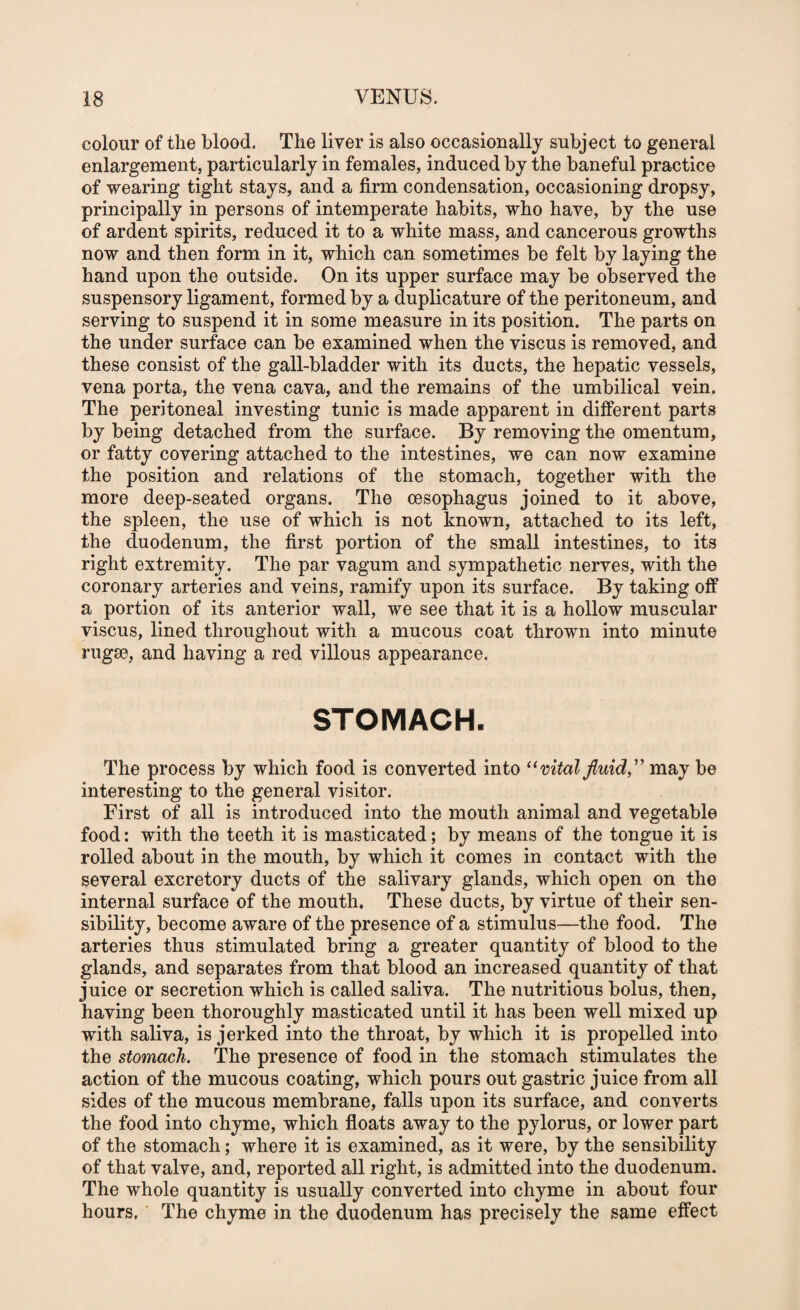 colour of the blood. The liver is also occasionally subject to general enlargement, particularly in females, induced by the baneful practice of wearing tight stays, and a firm condensation, occasioning dropsy, principally in persons of intemperate habits, who have, by the use of ardent spirits, reduced it to a white mass, and cancerous growths now and then form in it, which can sometimes be felt by laying the hand upon the outside. On its upper surface may be observed the suspensory ligament, formed by a duplicature of the peritoneum, and serving to suspend it in some measure in its position. The parts on the under surface can be examined when the viscus is removed, and these consist of the gall-bladder with its ducts, the hepatic vessels, vena porta, the vena cava, and the remains of the umbilical vein. The peritoneal investing tunic is made apparent in different parts by being detached from the surface. By removing the omentum, or fatty covering attached to the intestines, we can now examine the position and relations of the stomach, together with the more deep-seated organs. The oesophagus joined to it above, the spleen, the use of which is not known, attached to its left, the duodenum, the first portion of the small intestines, to its right extremity. The par vagum and sympathetic nerves, with the coronary arteries and veins, ramify upon its surface. By taking off a portion of its anterior wall, we see that it is a hollow muscular viscus, lined throughout with a mucous coat thrown into minute rugse, and having a red villous appearance. STOMACH. The process by which food is converted into vital fluid, may be interesting to the general visitor. First of all is introduced into the mouth animal and vegetable food: with the teeth it is masticated; by means of the tongue it is rolled about in the mouth, by which it comes in contact with the several excretory ducts of the salivary glands, which open on the internal surface of the mouth. These ducts, by virtue of their sen¬ sibility, become aware of the presence of a stimulus—the food. The arteries thus stimulated bring a greater quantity of blood to the glands, and separates from that blood an increased quantity of that juice or secretion which is called saliva. The nutritious bolus, then, having been thoroughly masticated until it has been well mixed up with saliva, is jerked into the throat, by which it is propelled into the stomach. The presence of food in the stomach stimulates the action of the mucous coating, which pours out gastric juice from all sides of the mucous membrane, falls upon its surface, and converts the food into chyme, which floats away to the pylorus, or lower part of the stomach; where it is examined, as it were, by the sensibility of that valve, and, reported all right, is admitted into the duodenum. The whole quantity is usually converted into chyme in about four hours, The chyme in the duodenum has precisely the same effect