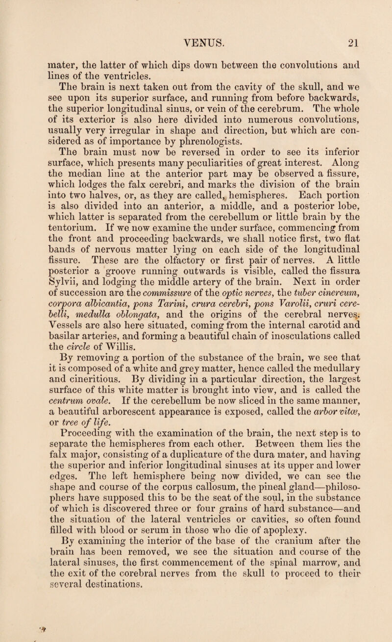 mater, the latter of which dips down between the convolutions and lines of the ventricles. The brain is next taken out from the cavity of the skull, and we see upon its superior surface, and running from before backwards, the superior longitudinal sinus, or vein of the cerebrum. The whole of its exterior is also here divided into numerous convolutions, usually very irregular in shape and direction, but which are con¬ sidered as of importance by phrenologists. The brain must now be reversed in order to see its inferior surface, which presents many peculiarities of great interest. Along the median line at the anterior part may be observed a fissure, which lodges the falx cerebri, and marks the division of the brain into two halves, or, as they are called, hemispheres. Each portion is also divided into an anterior, a middle, and a posterior lobe, which latter is separated from the cerebellum or little brain by the tentorium. If we now examine the under surface, commencing from the front and proceeding backwards, we shall notice first, two fiat bands of nervous matter lying on each side of the longitudinal fissure. These are the olfactory or first pair of nerves. A little posterior a groove running outwards is visible, called the fissura Sylvii, and lodging the middle artery of the brain. Next in order of succession are the commissure of the optic nerres, the tuber cinereum, corpora alhicantia, pons Tarini, crura cerebri, pons Varolii, cruri cere- belli, medulla oblongata, and the origins of the cerebral nerve^. Vessels are also here situated, coming from the internal carotid and basilar arteries, and forming a beautiful chain of inosculations called the circle of Willis. By removing a portion of the substance of the brain, we see that it is composed of a white and grey matter, hence called the medullary and cineritious. By dividing in a particular direction, the largest surface of this white matter is brought into view, and is called the centrum ovale. If the cerebellum be now sliced in the same manner, a beautiful arborescent appearance is exposed, called the arbor vitce, or tree of life. Proceeding with the examination of the brain, the next step is to separate the hemispheres from each other. Between them lies the falx major, consisting of a duplicature of the dura mater, and having the superior and inferior longitudinal sinuses at its upper and lower edges. The left hemisphere being now divided, we can see the shape and course of the corpus callosum, the pineal gland—philoso¬ phers have supposed this to be the seat of the soul, in the substance of which is discovered three or four grains of hard substance—and the situation of the lateral ventricles or cavities, so often found filled with blood or serum in those who die of apoplexy. By examining the interior of the base of the cranium after the brain has been removed, we see the situation and course of the lateral sinuses, the first commencement of the spinal marrow, and the exit of the cerebral nerves from the skull to proceed to their several destinations.